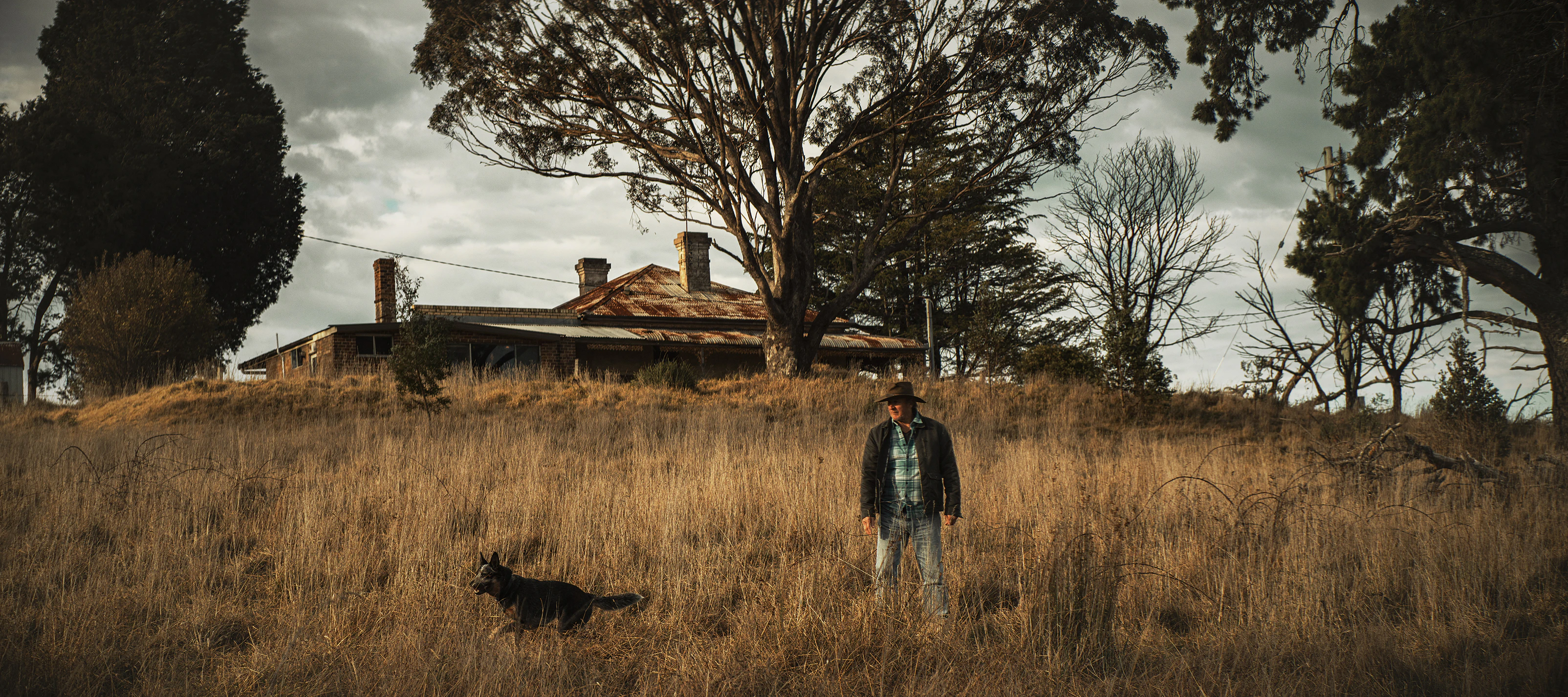 The Collective Force - QBE