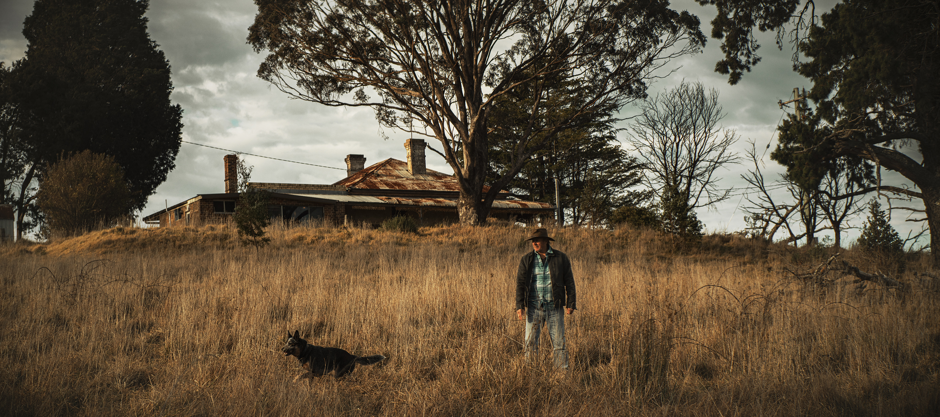 The Collective Force - QBE