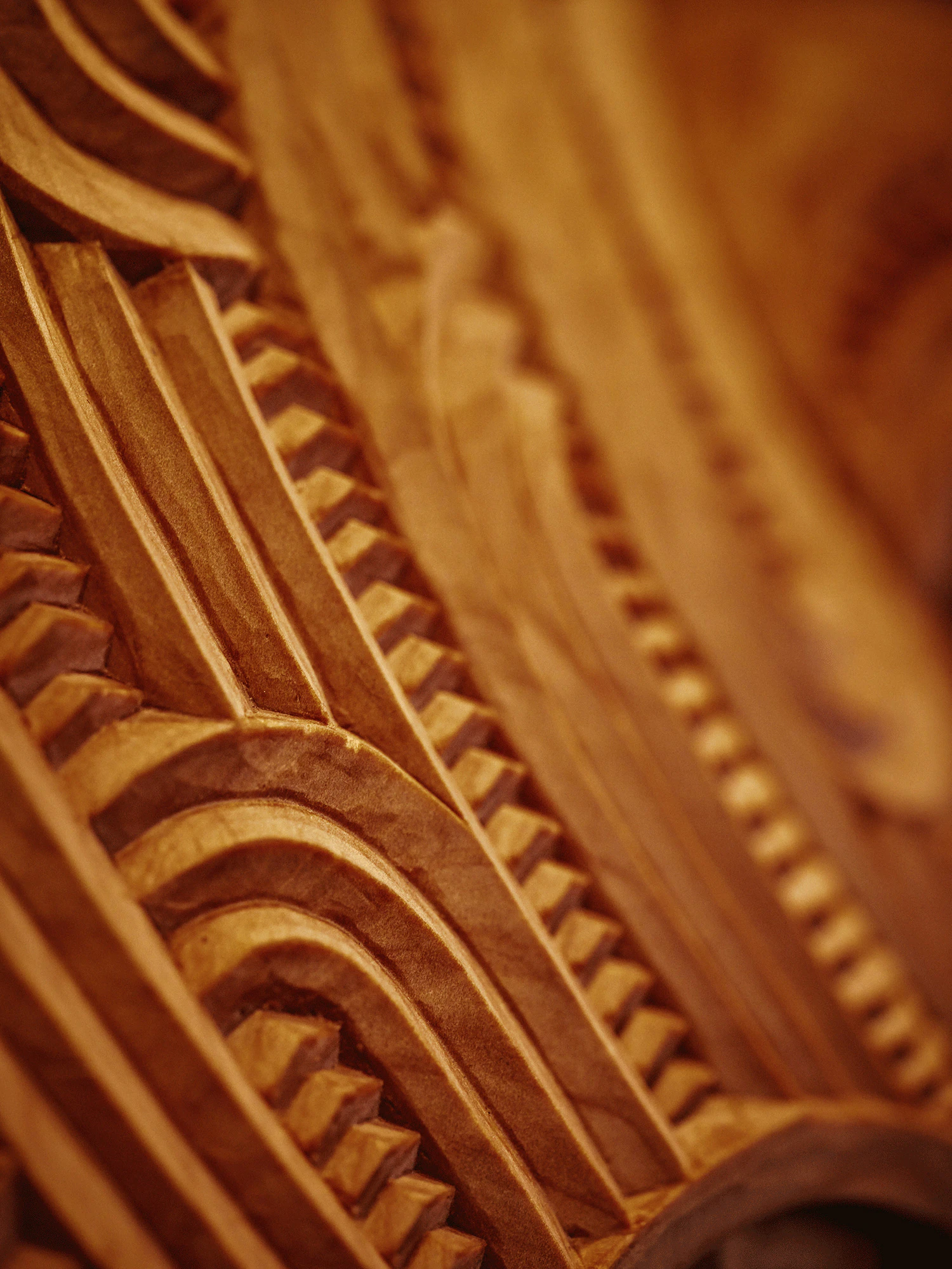 The Collective Force - Real NZ | Milford Sound Business Class