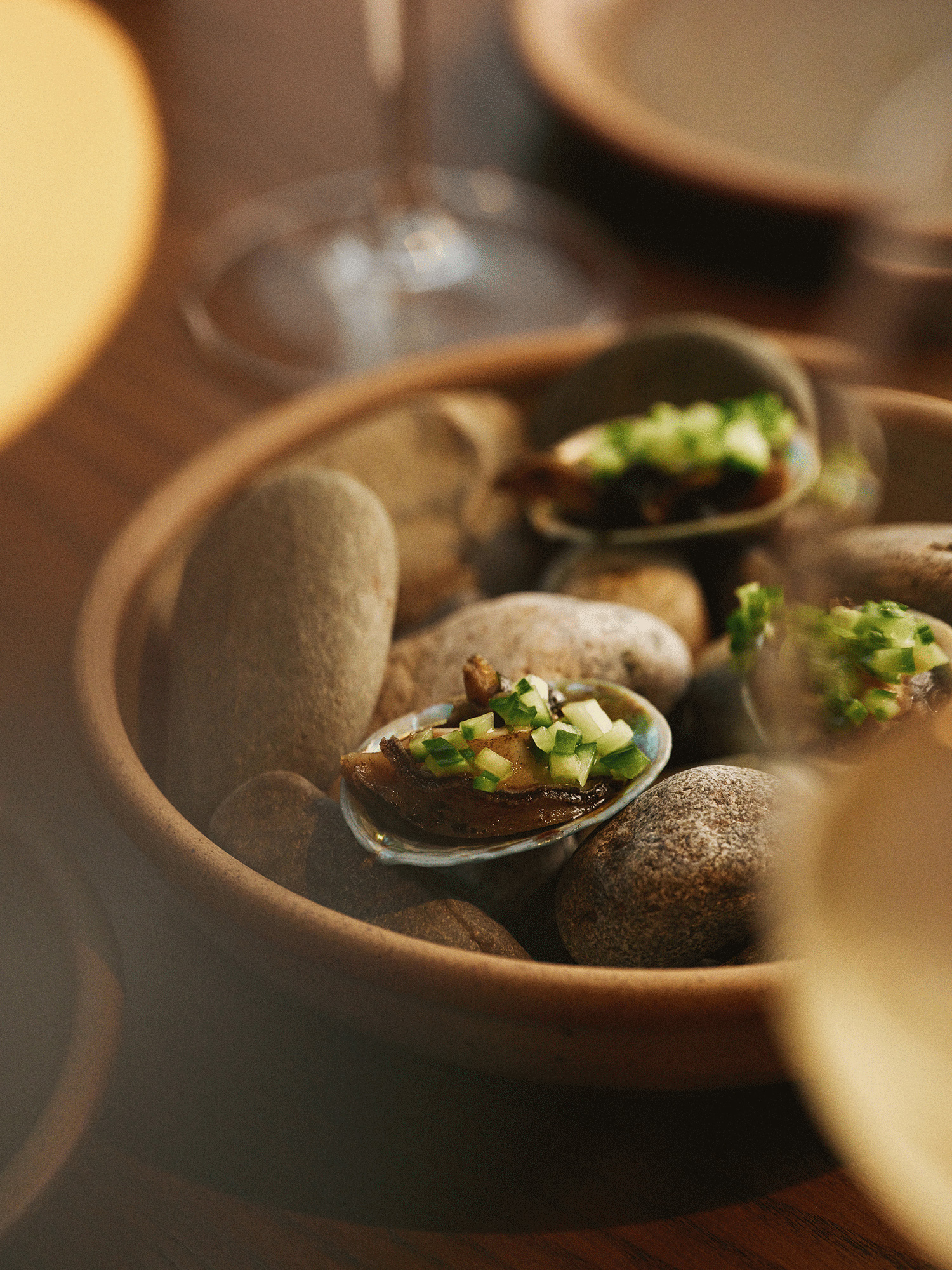 The Collective Force - Real NZ | Milford Sound Business Class