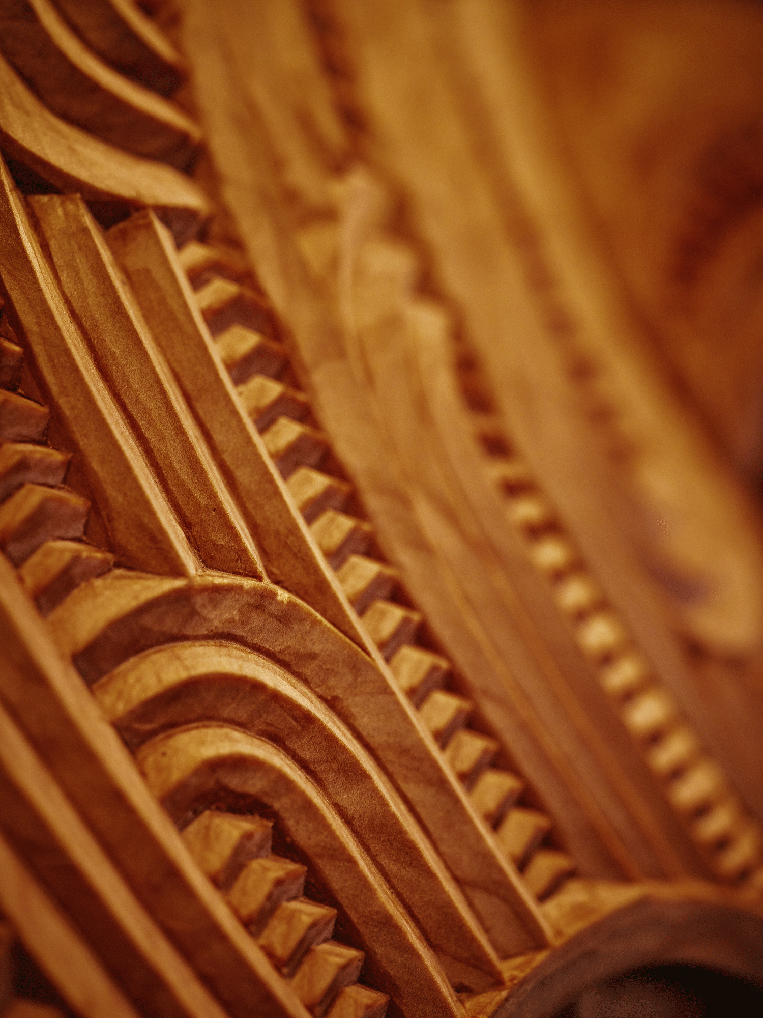 The Collective Force - Real NZ | Milford Sound Business Class