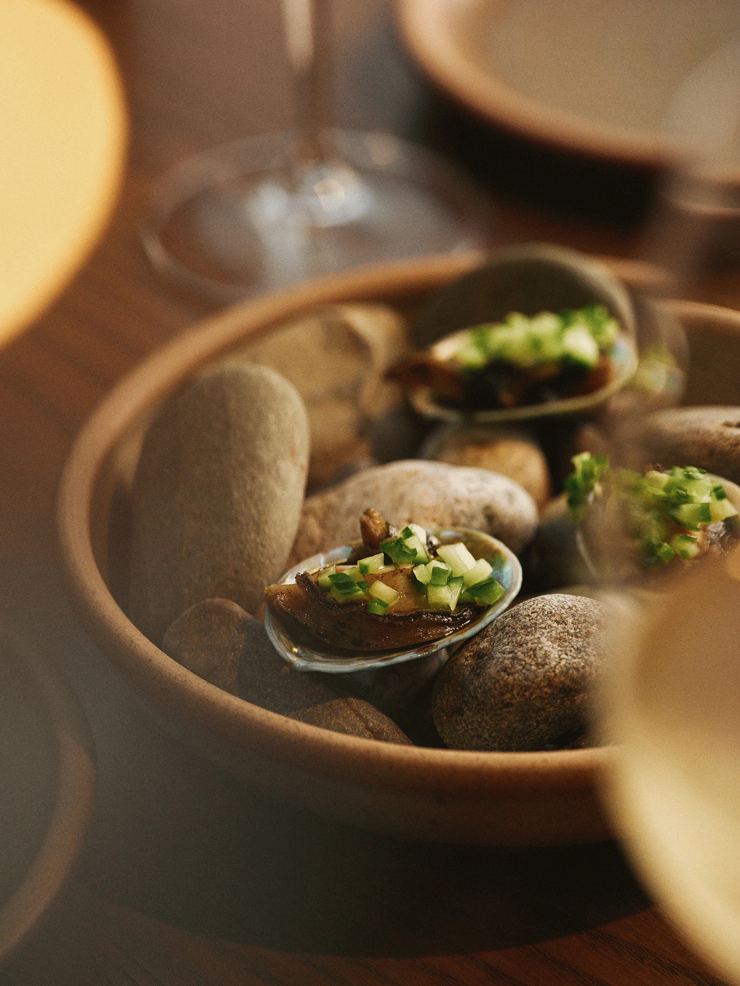 The Collective Force - Real NZ | Milford Sound Business Class