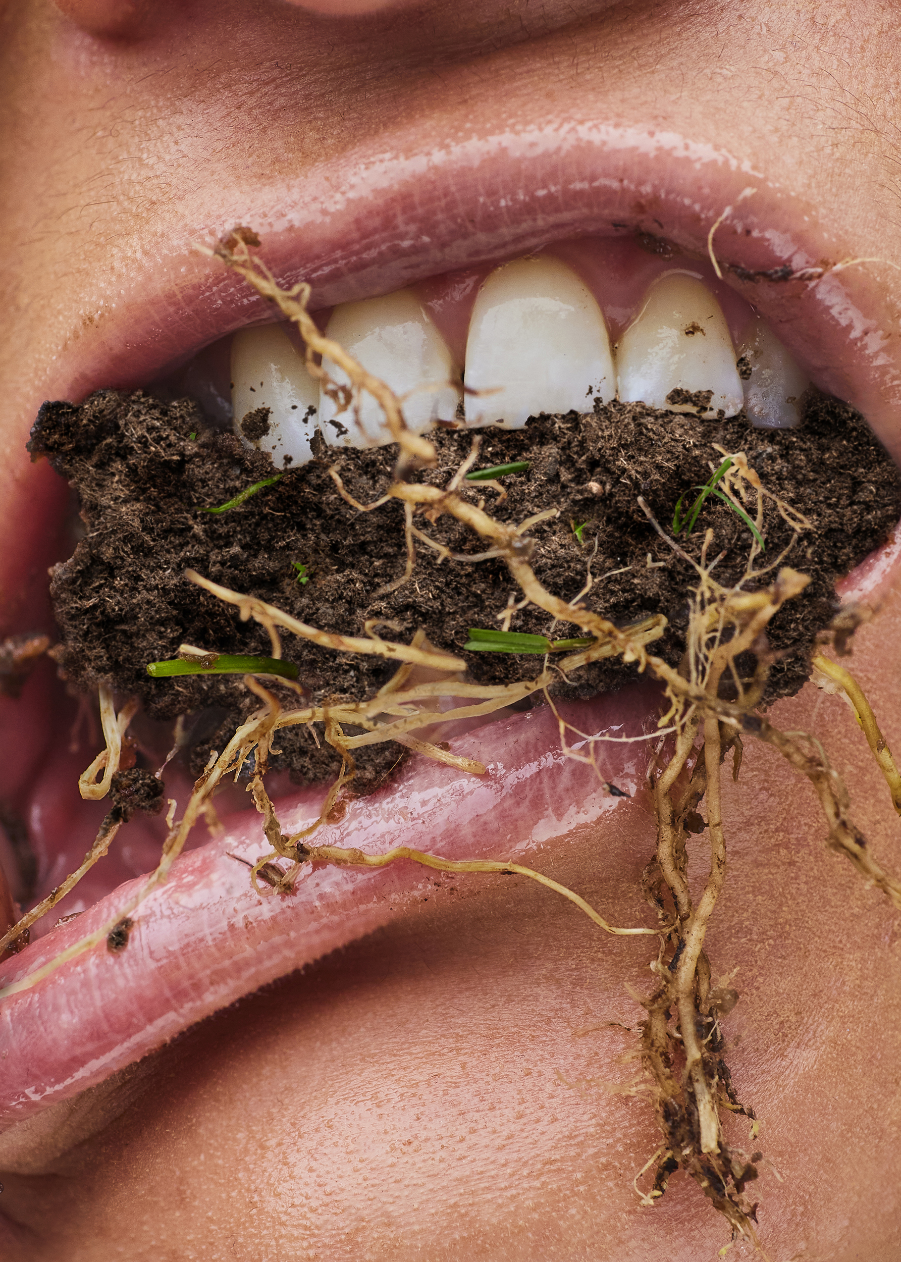 The Collective Force - Silo Theatre | 2024 Campaign