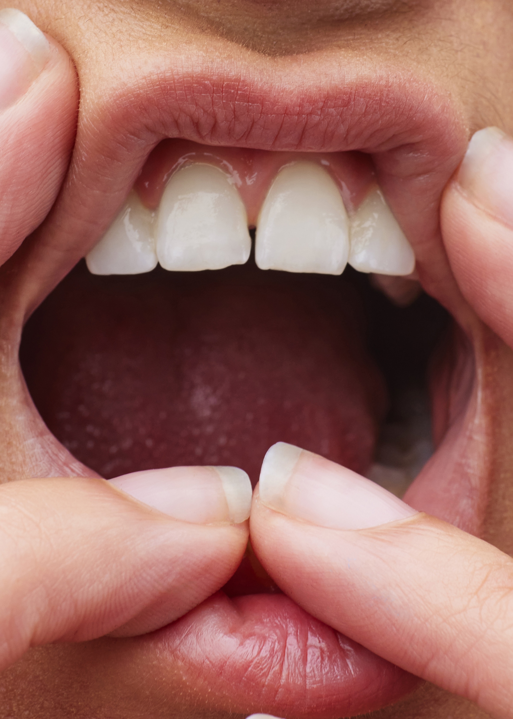 The Collective Force - Silo Theatre | 2024 Campaign