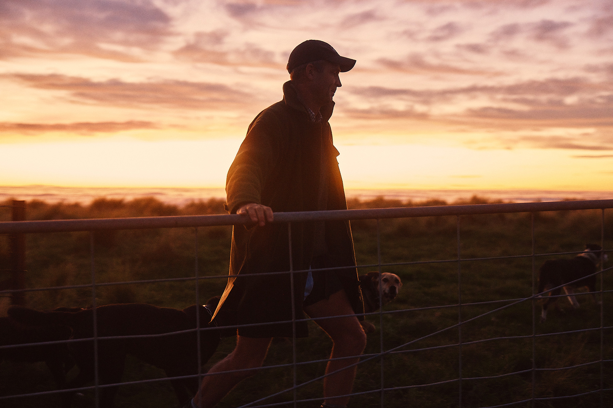 The Collective Force - Latest