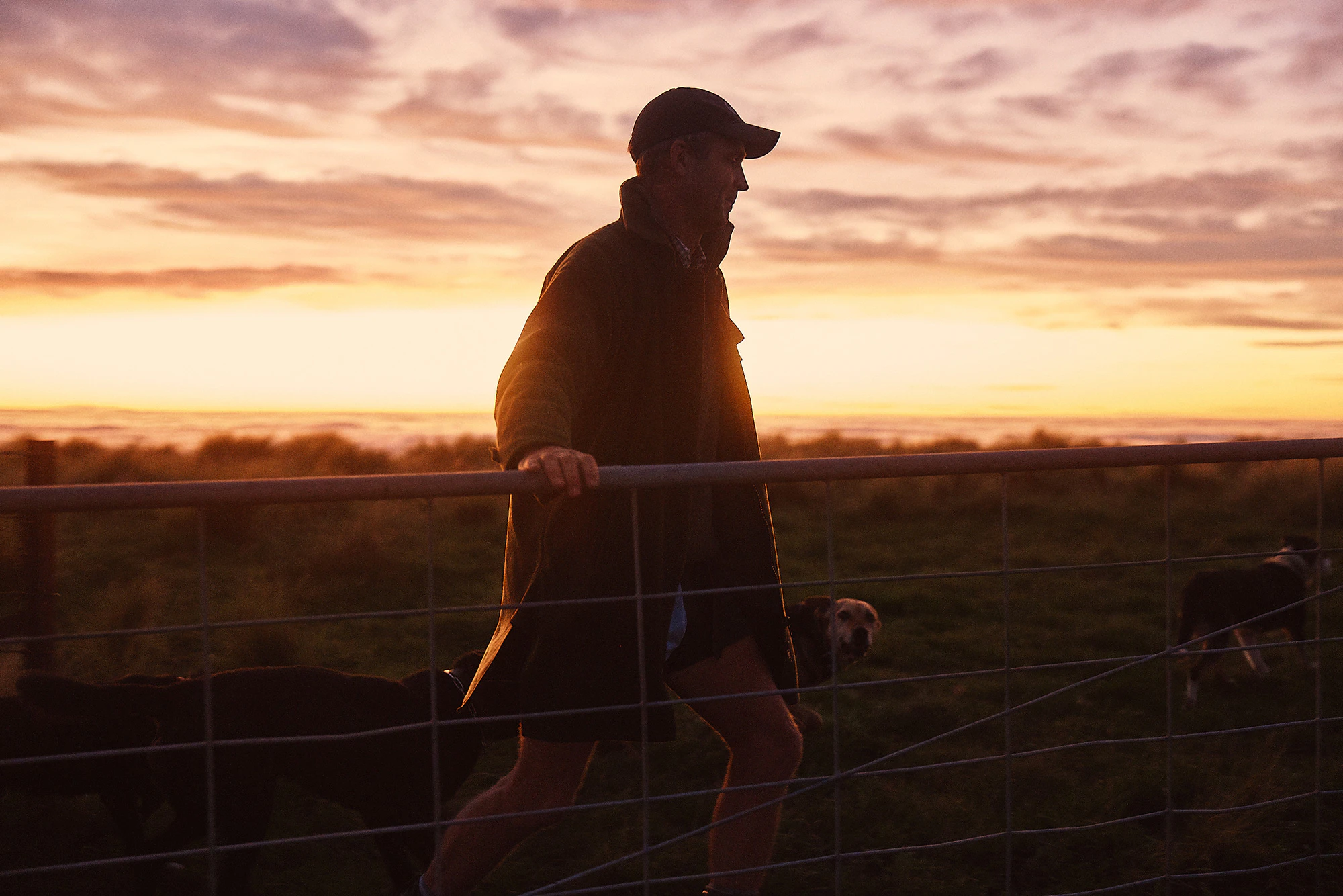 The Collective Force - Silver Fern Farms