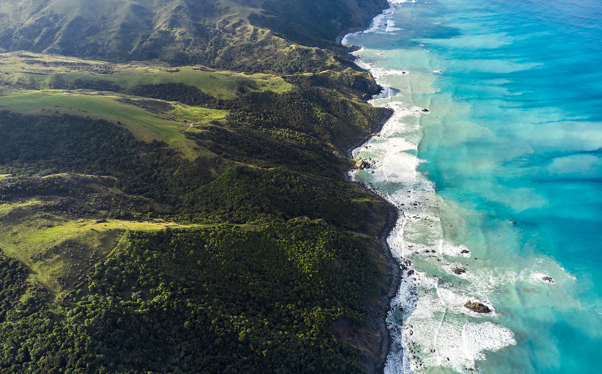 The Collective Force - Silver Fern Farms