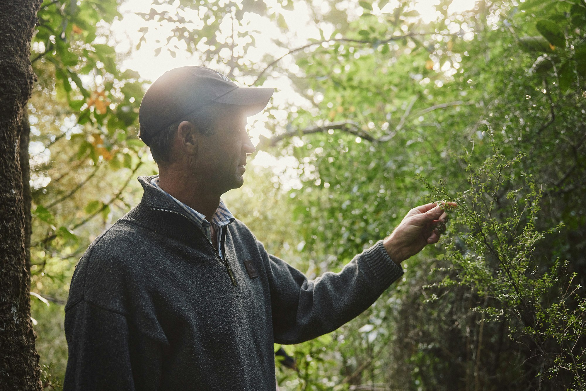 The Collective Force - Silver Fern Farms