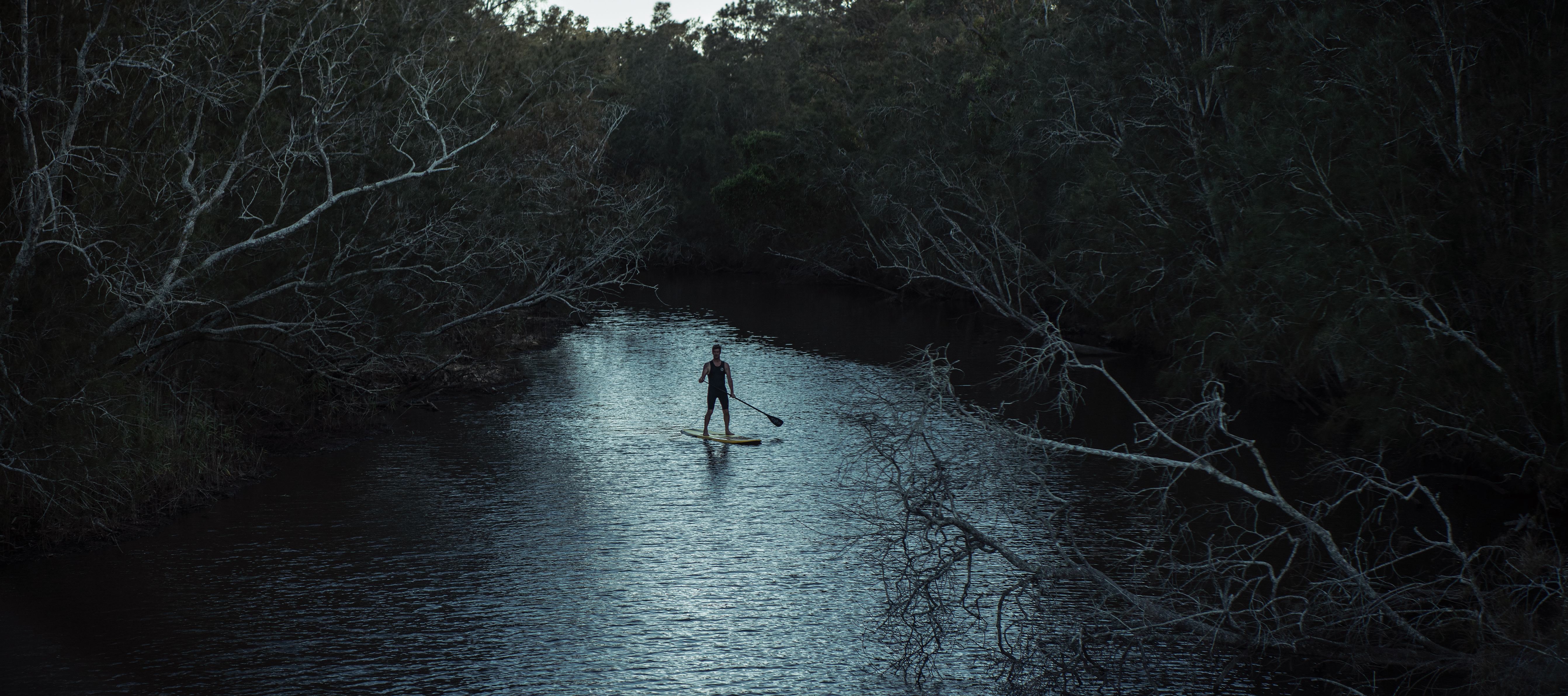 The Collective Force - Still Waters Run Deep