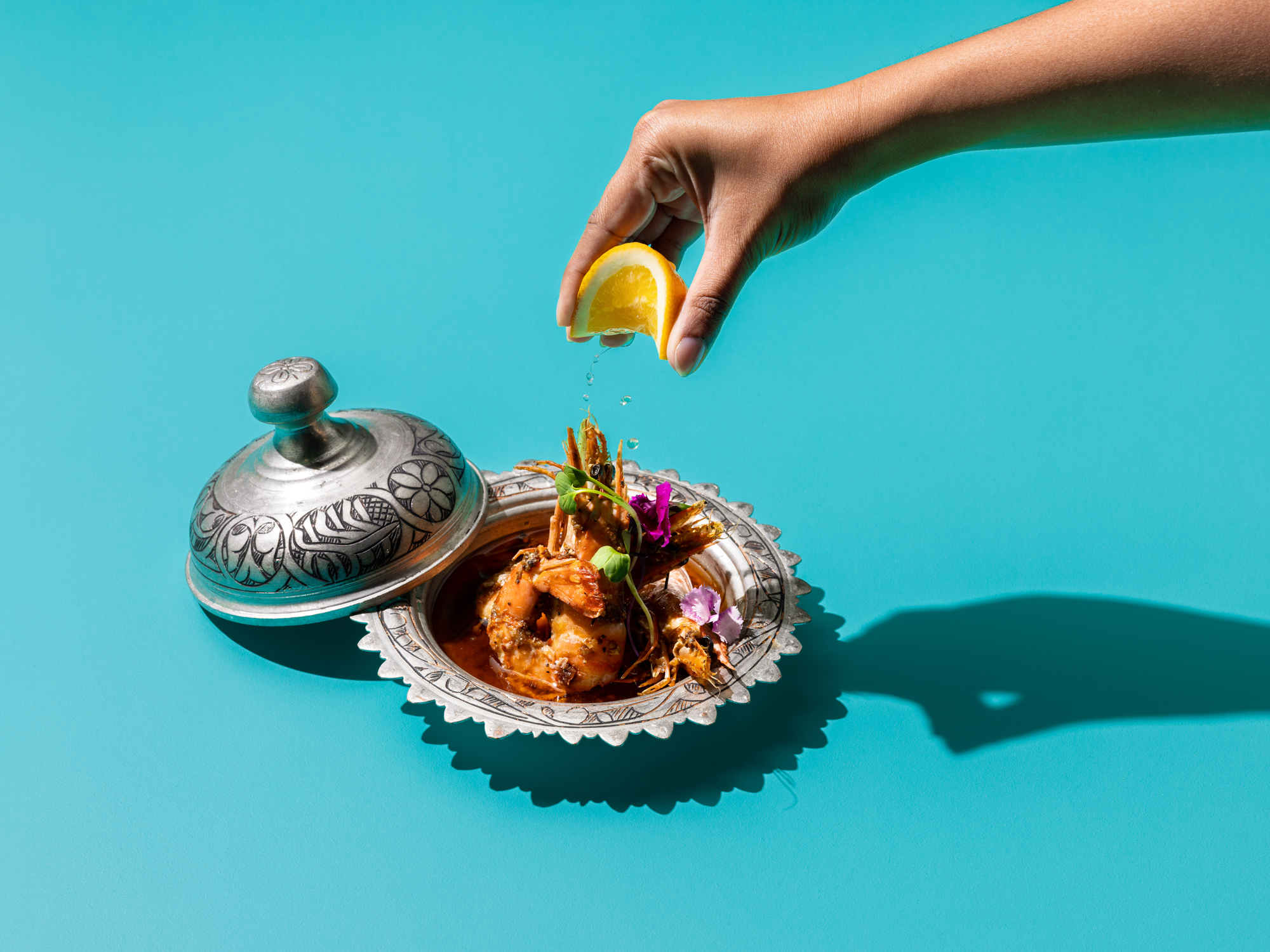 The Collective Force - Sylvia Park