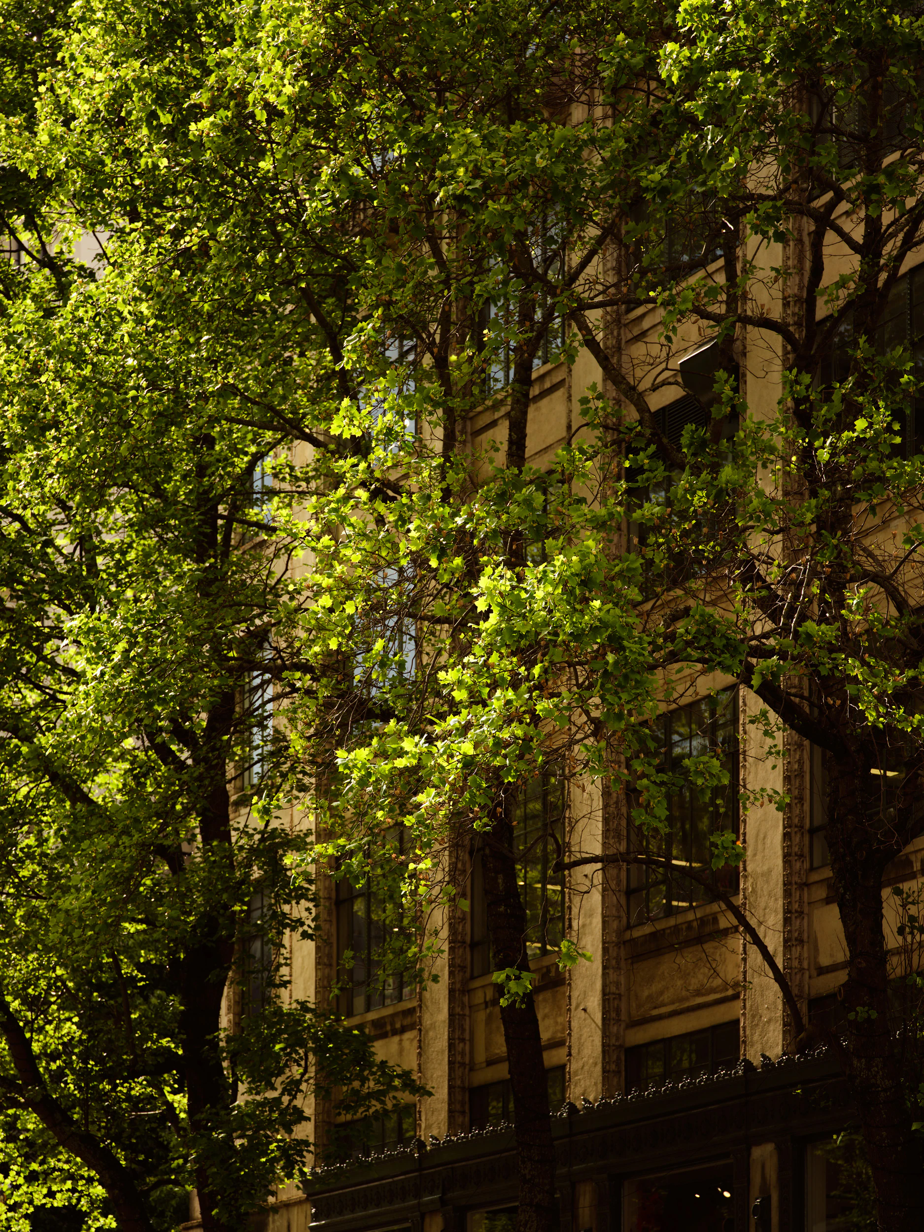 The Collective Force - Symphony Residences