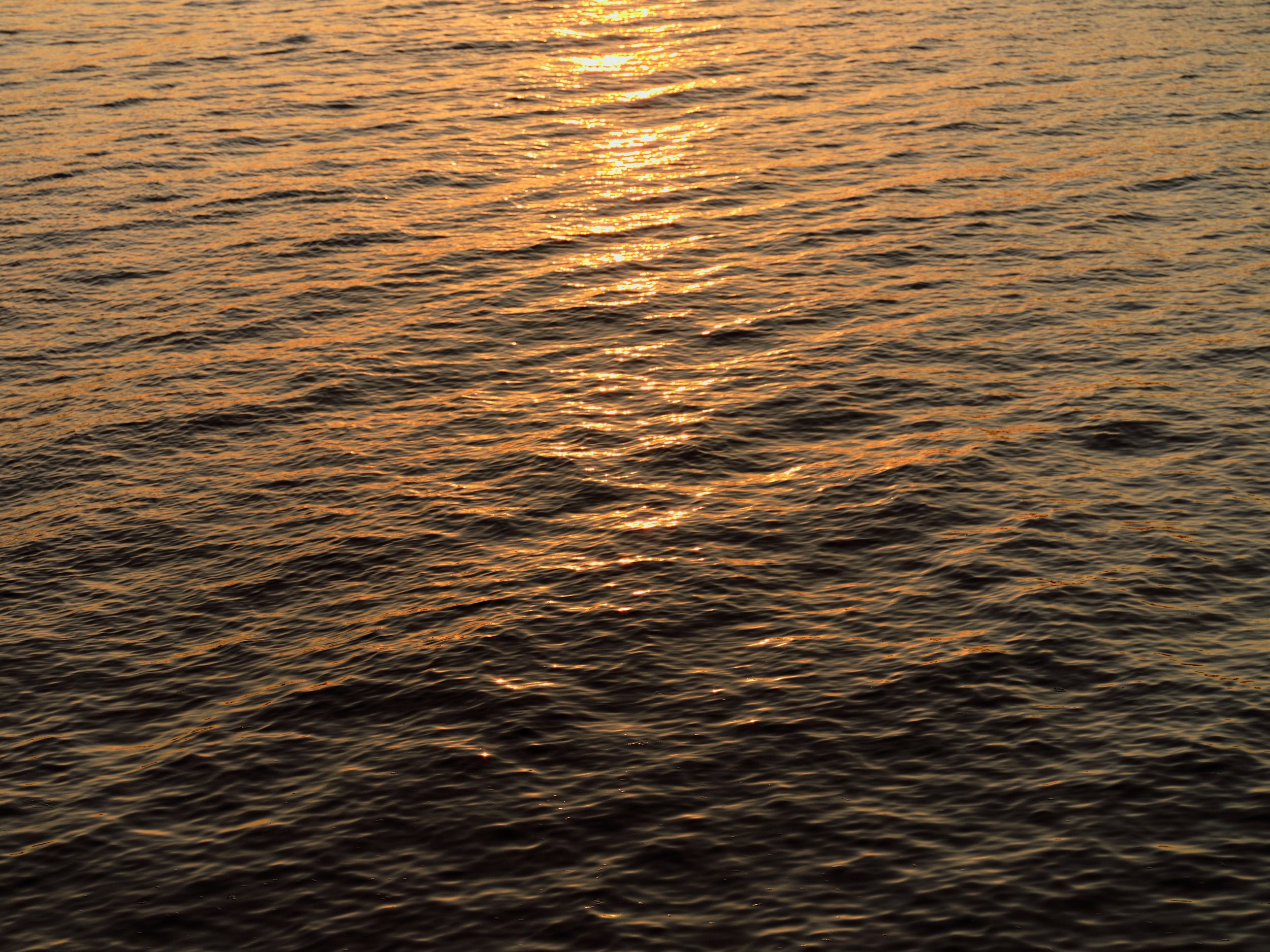 The Collective Force - Symphony Residences