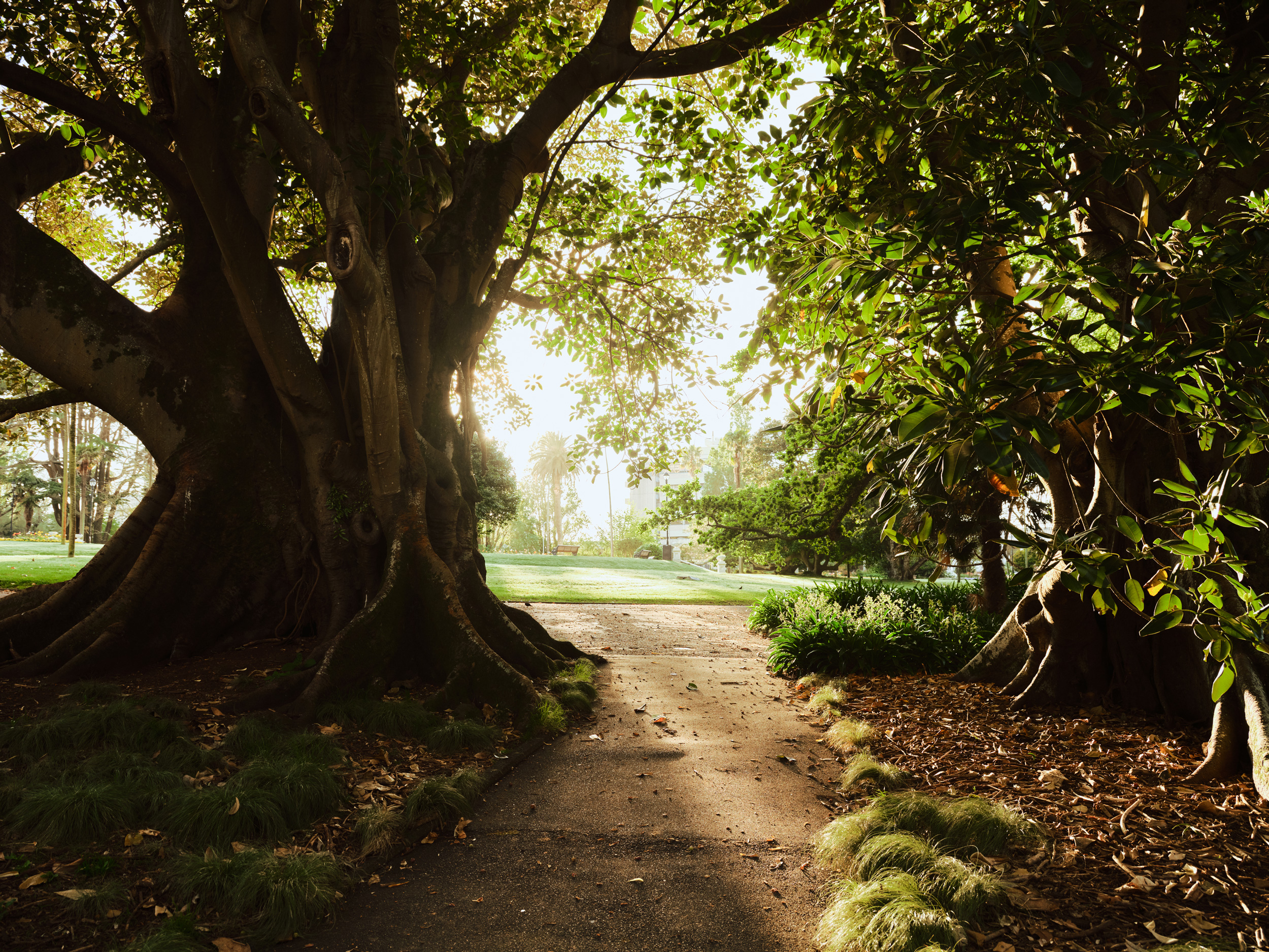 The Collective Force - Symphony Residences