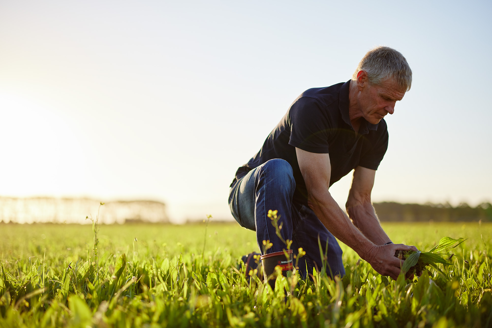 The Collective Force - Synlait