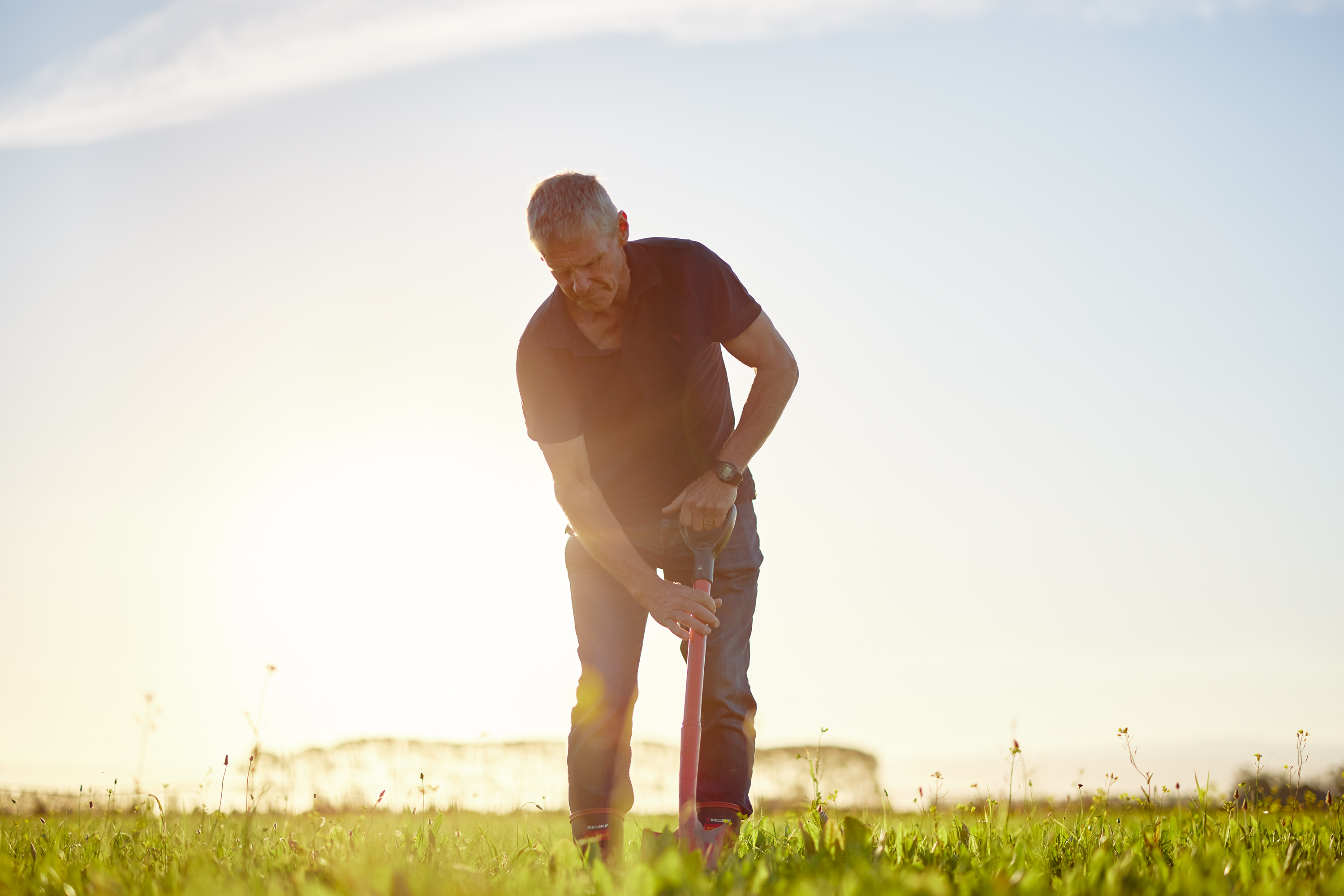 The Collective Force - Synlait