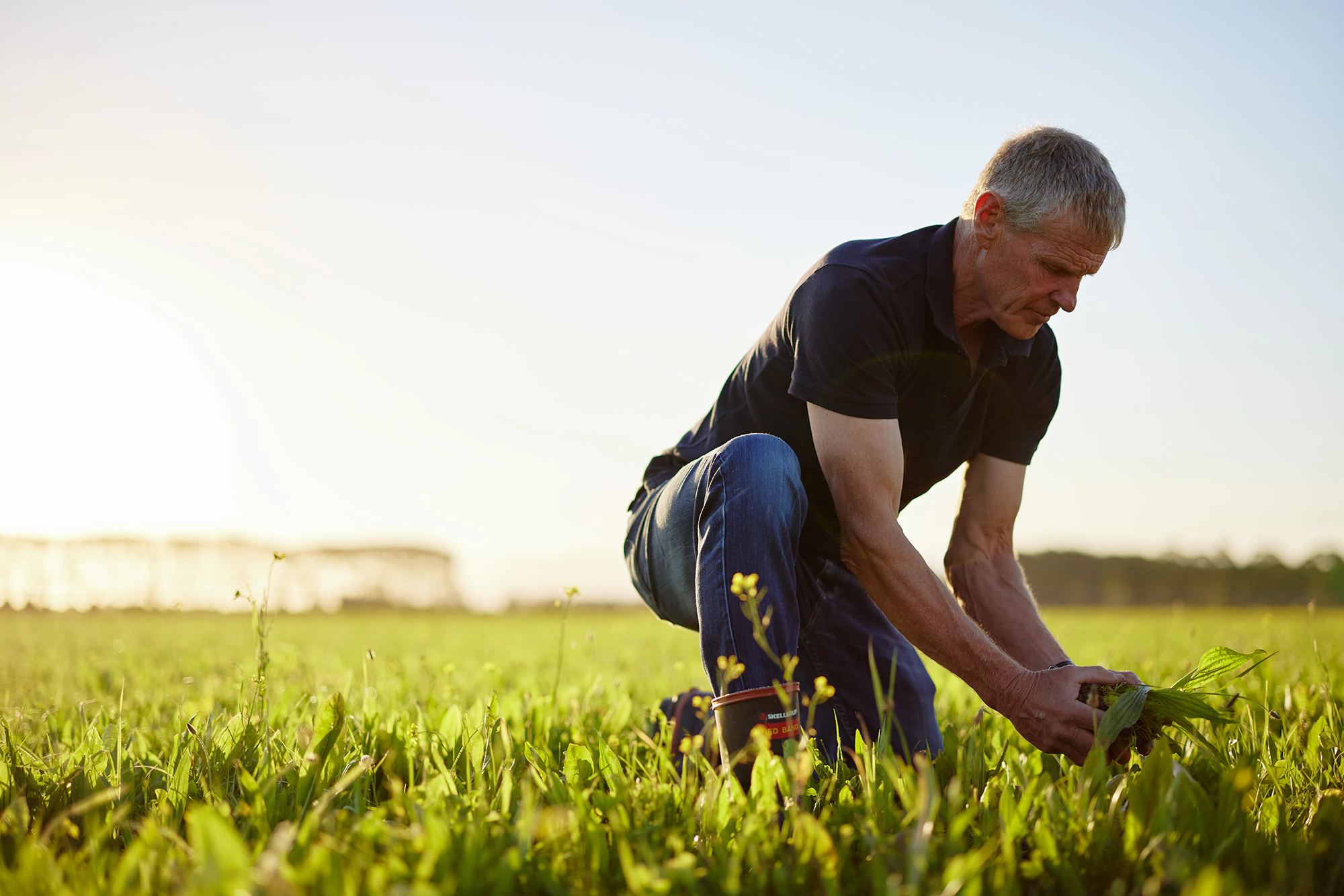 The Collective Force - Synlait