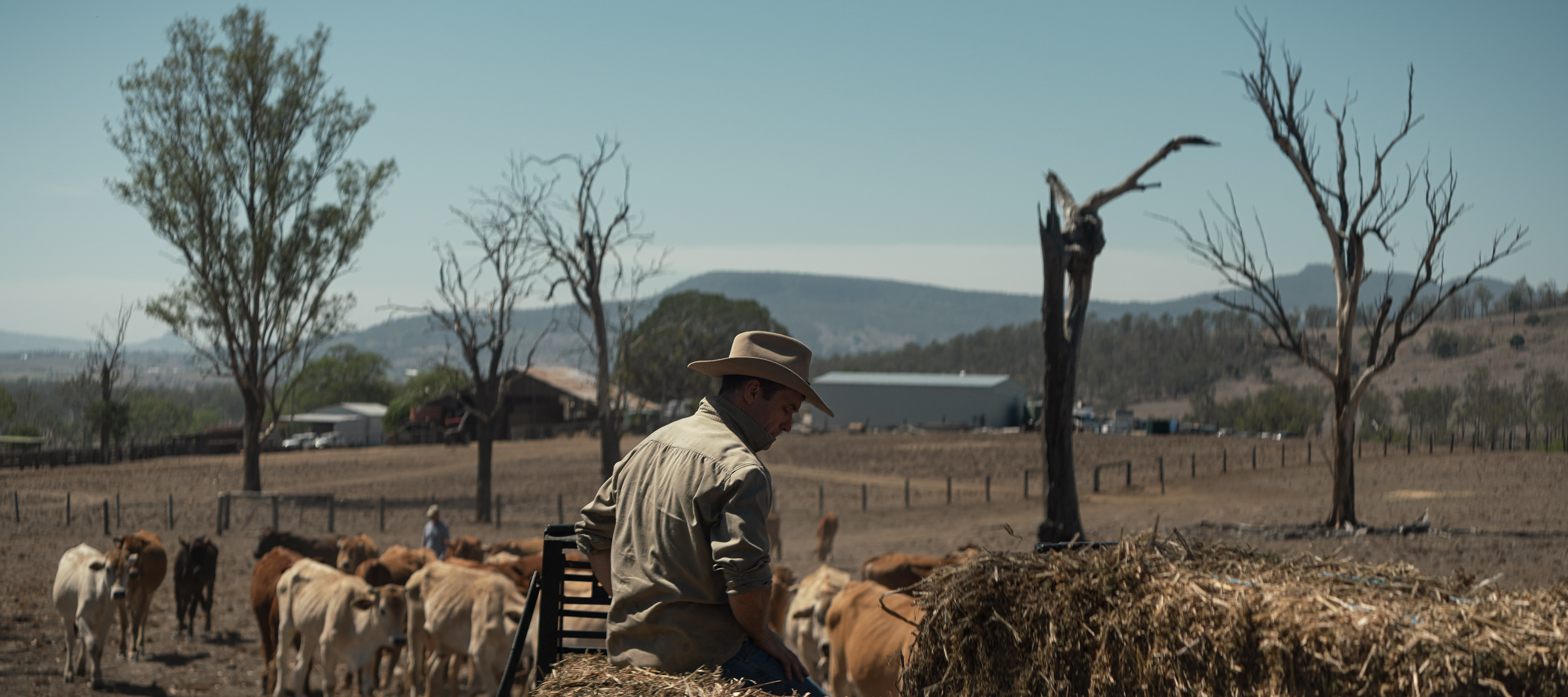 The Collective Force - Latest