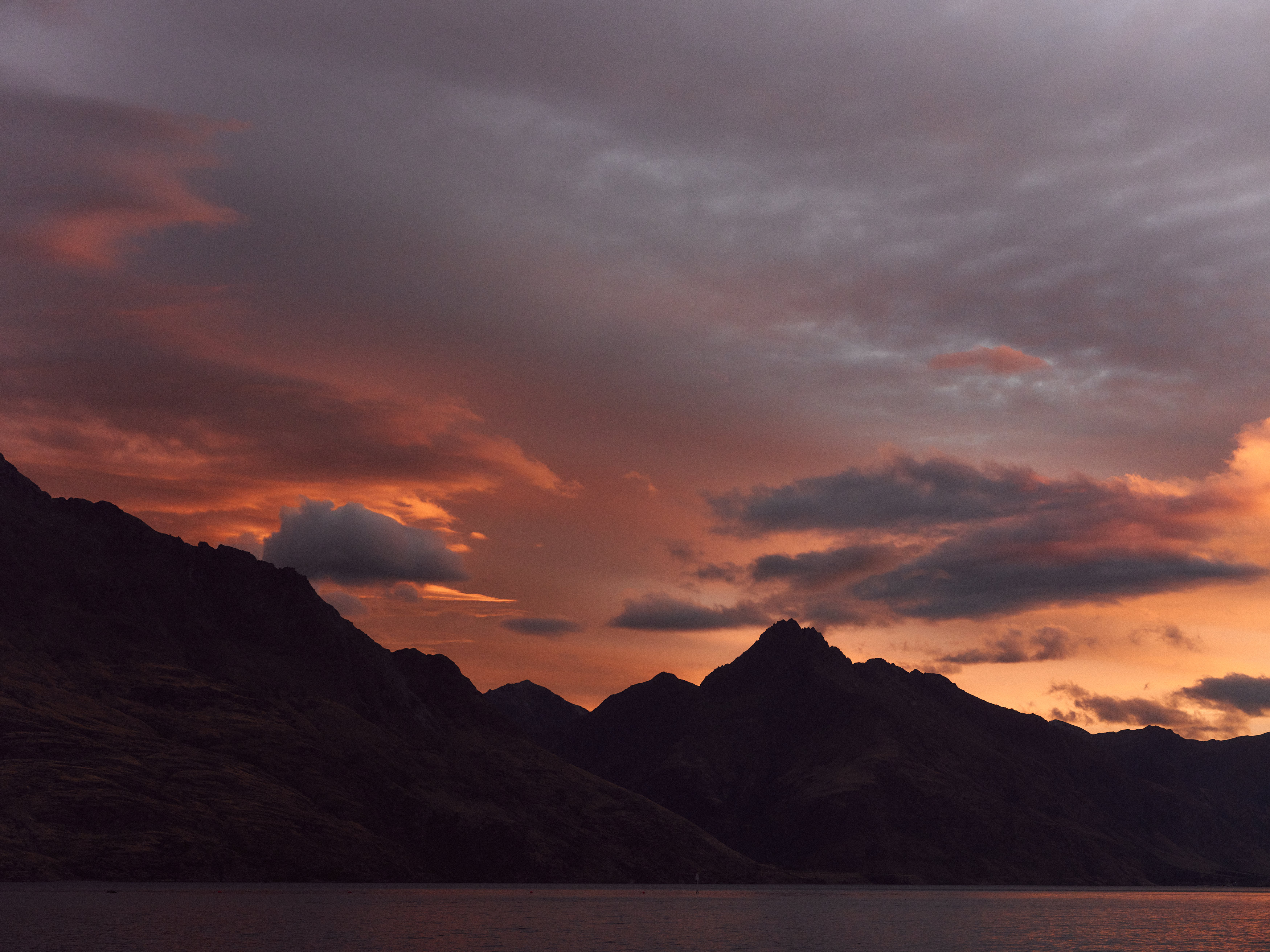 The Collective Force - The Carlin