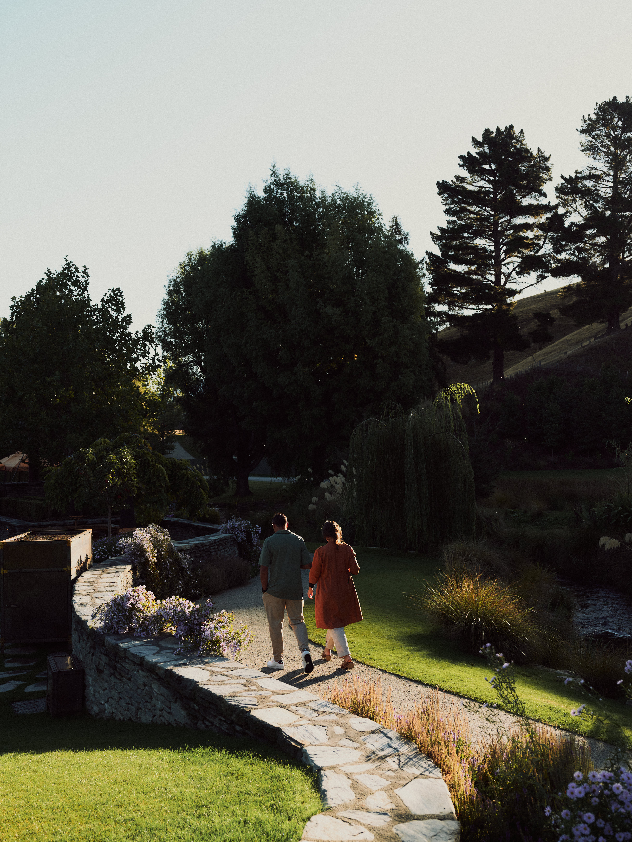 The Collective Force - The Carlin