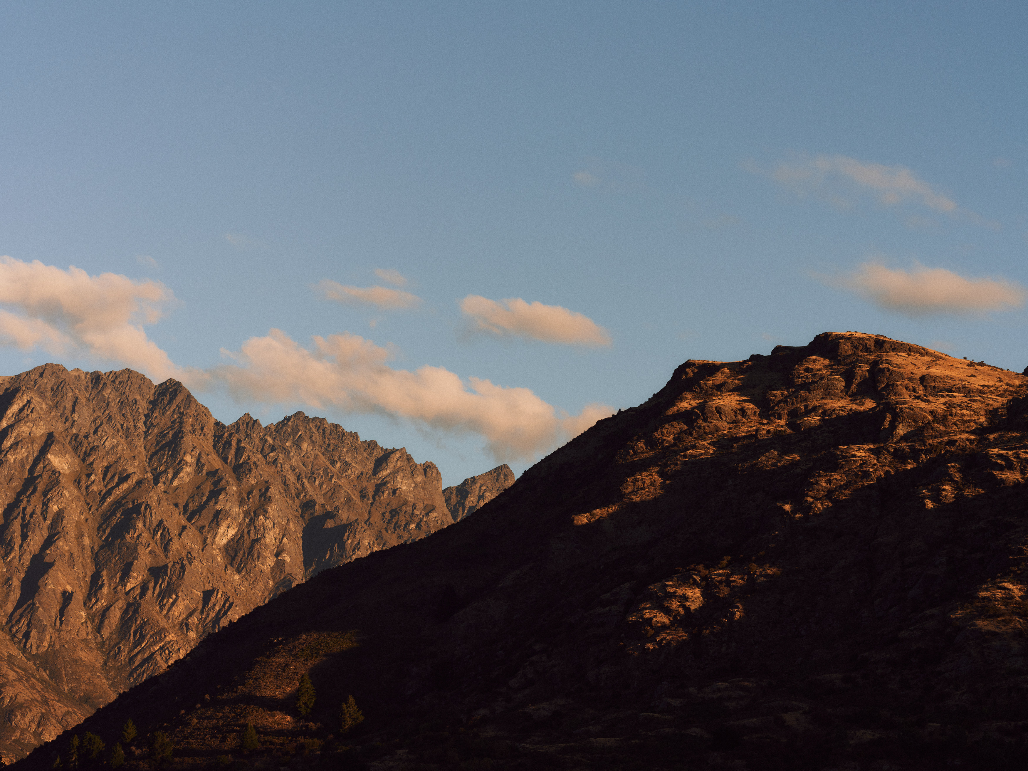 The Collective Force - The Carlin