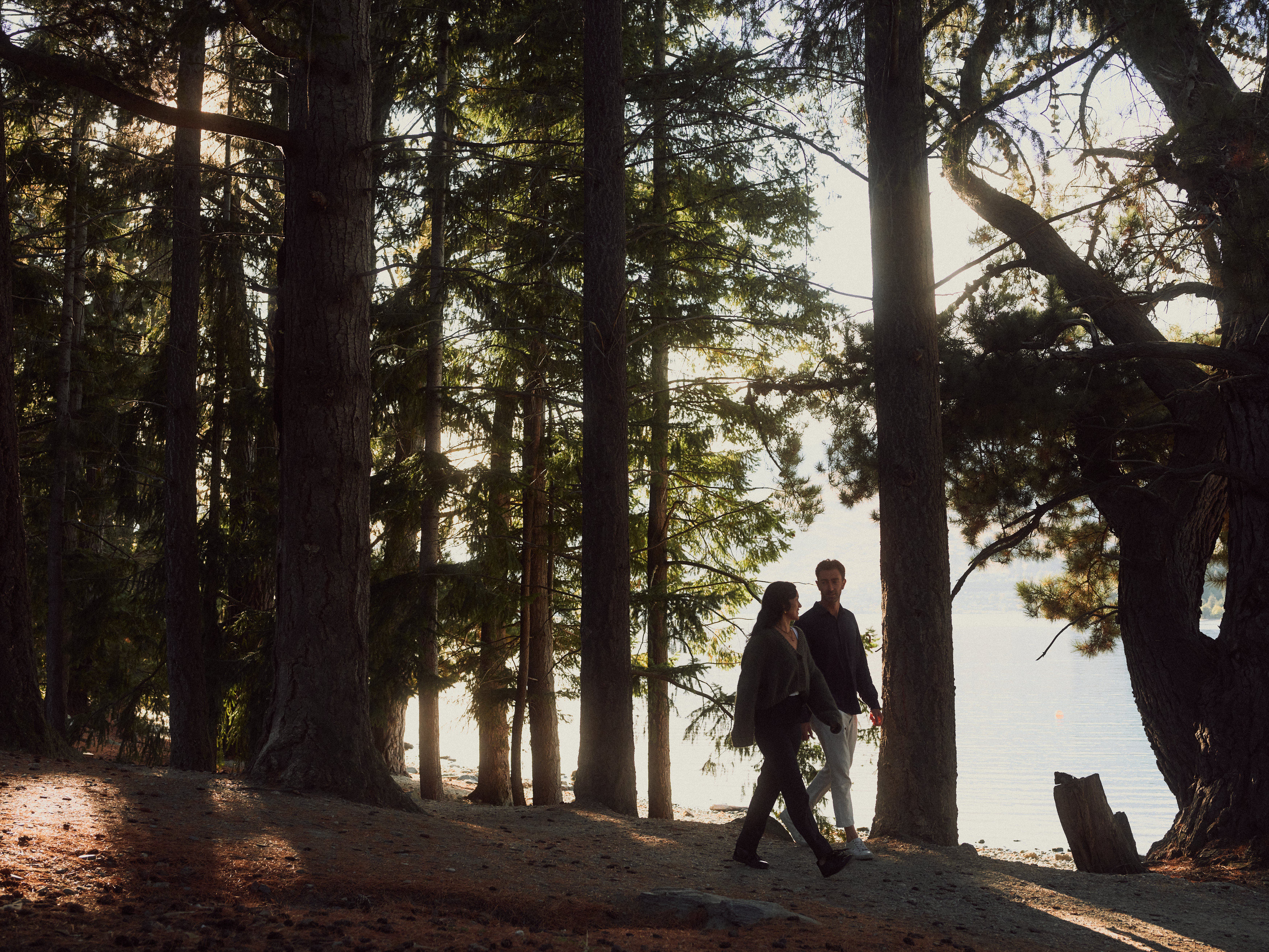 The Collective Force - The Carlin