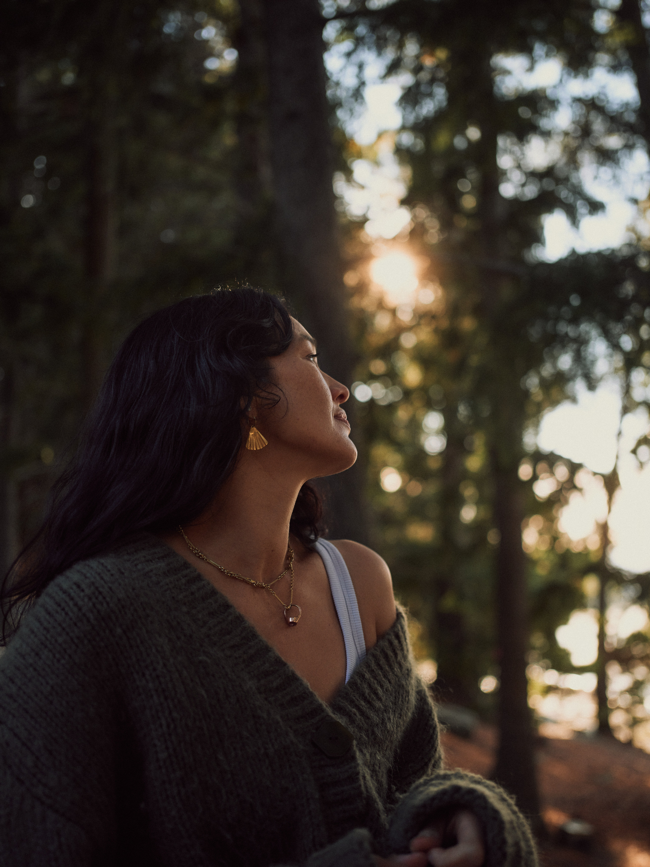 The Collective Force - The Carlin