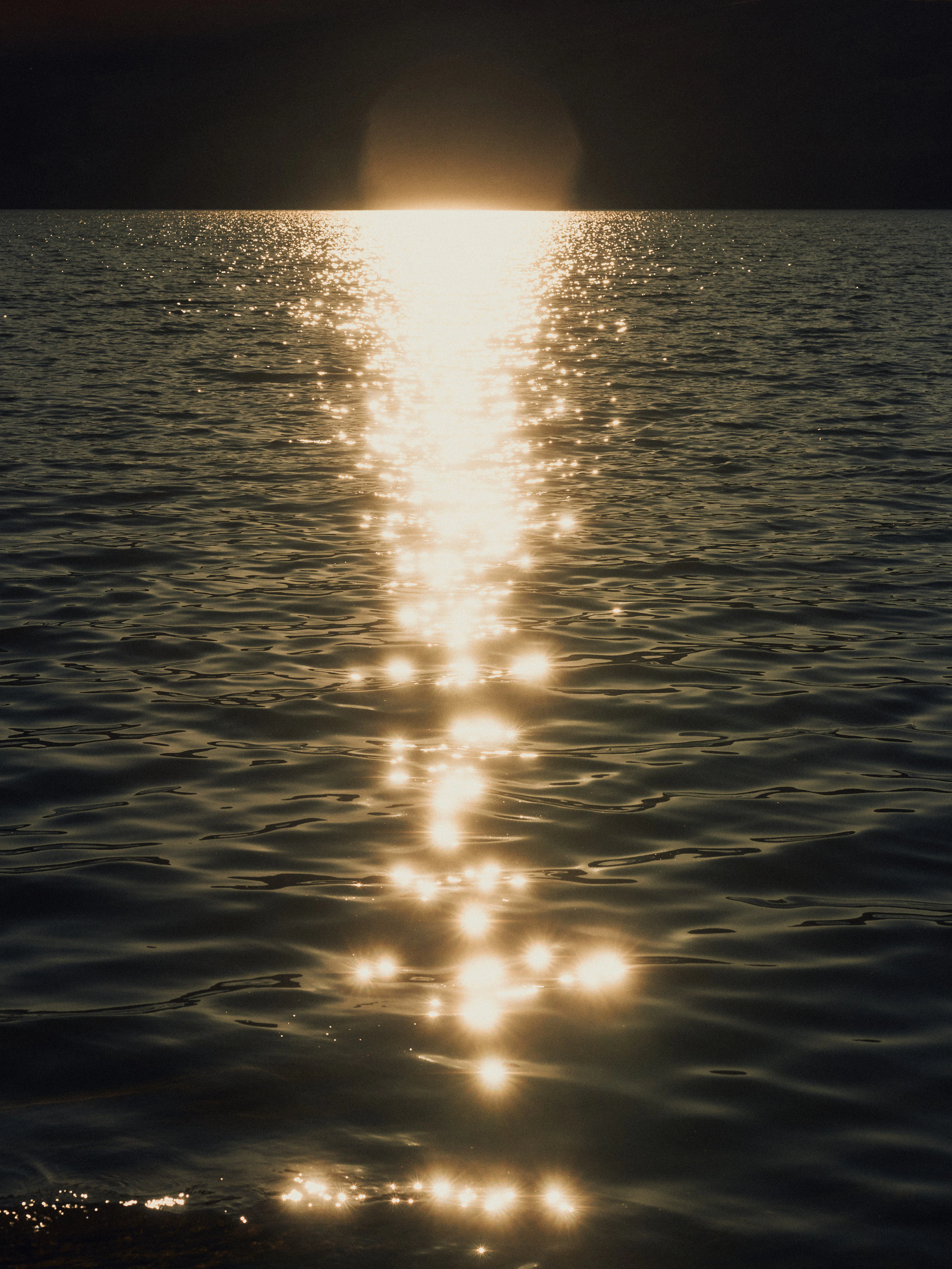 The Collective Force - The Carlin