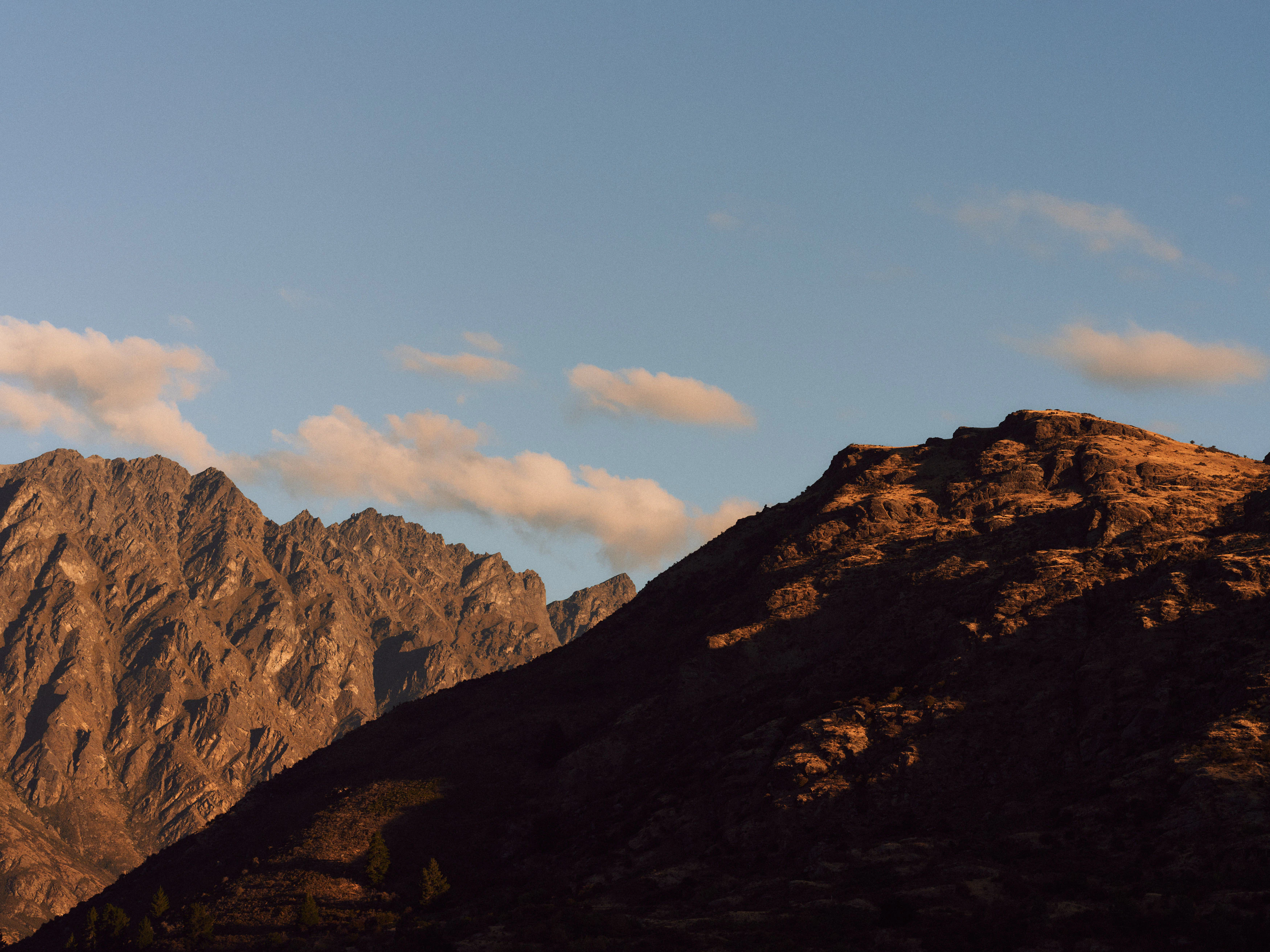 The Collective Force - The Carlin