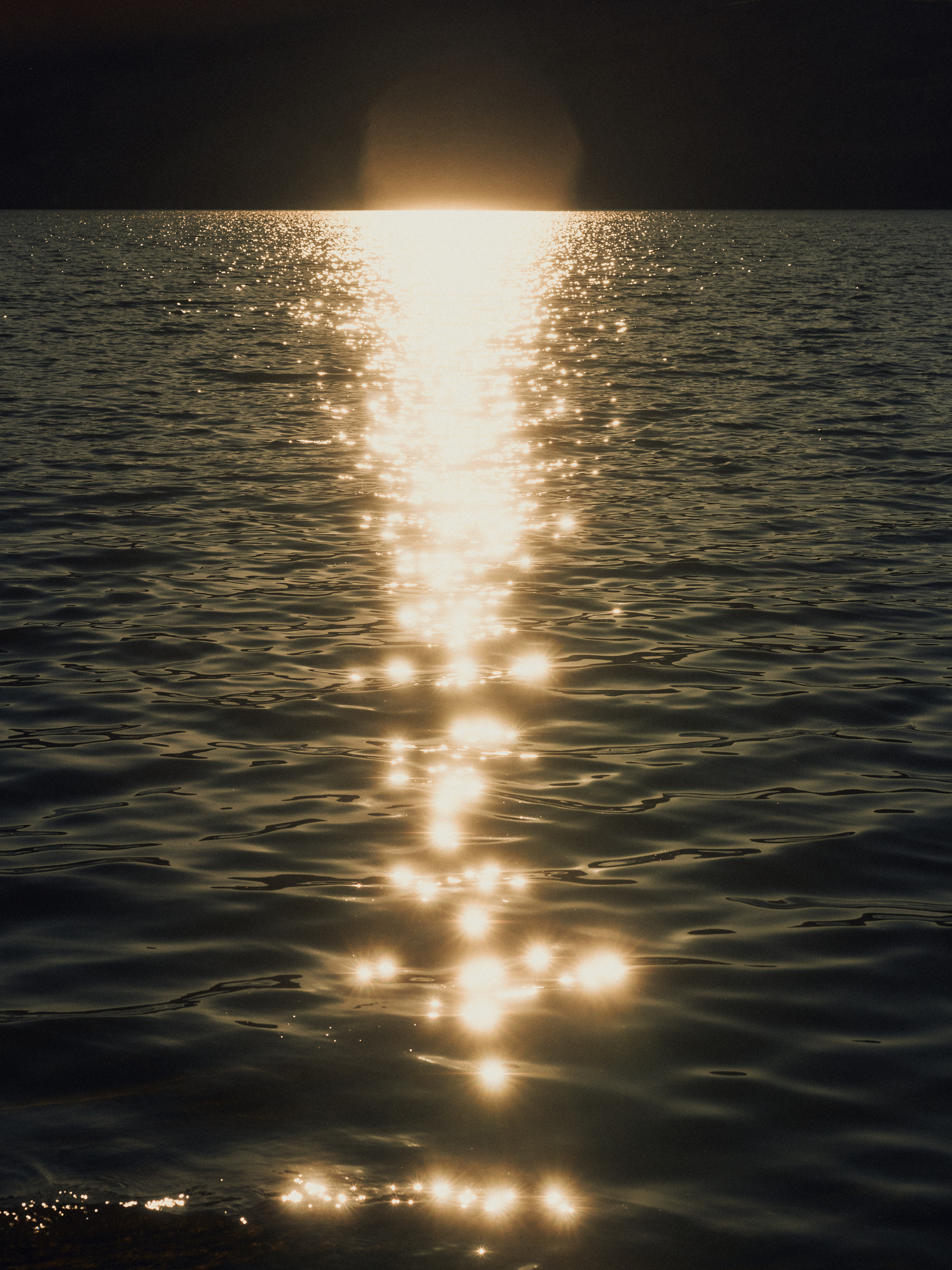 The Collective Force - The Carlin