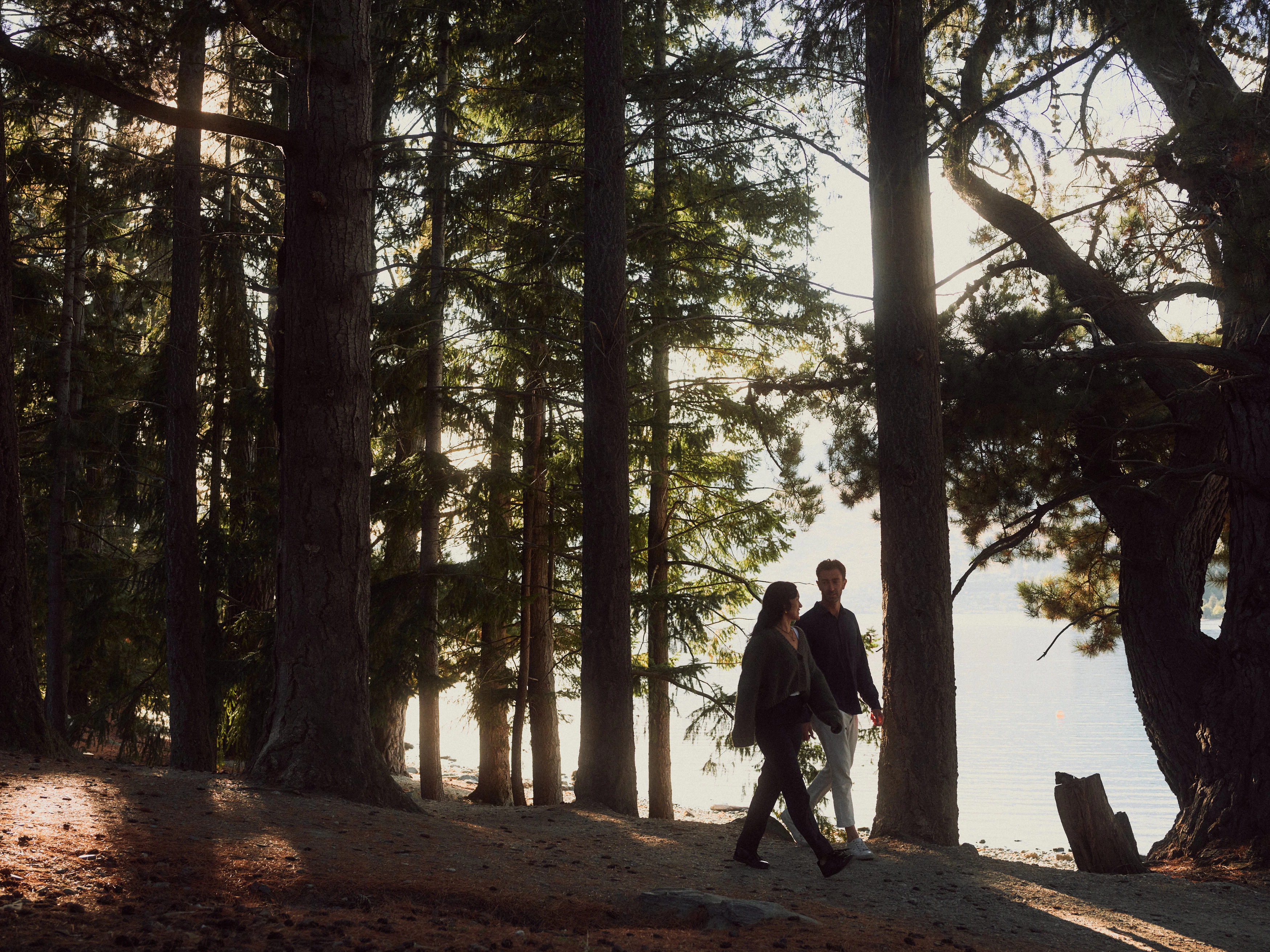 The Collective Force - The Carlin