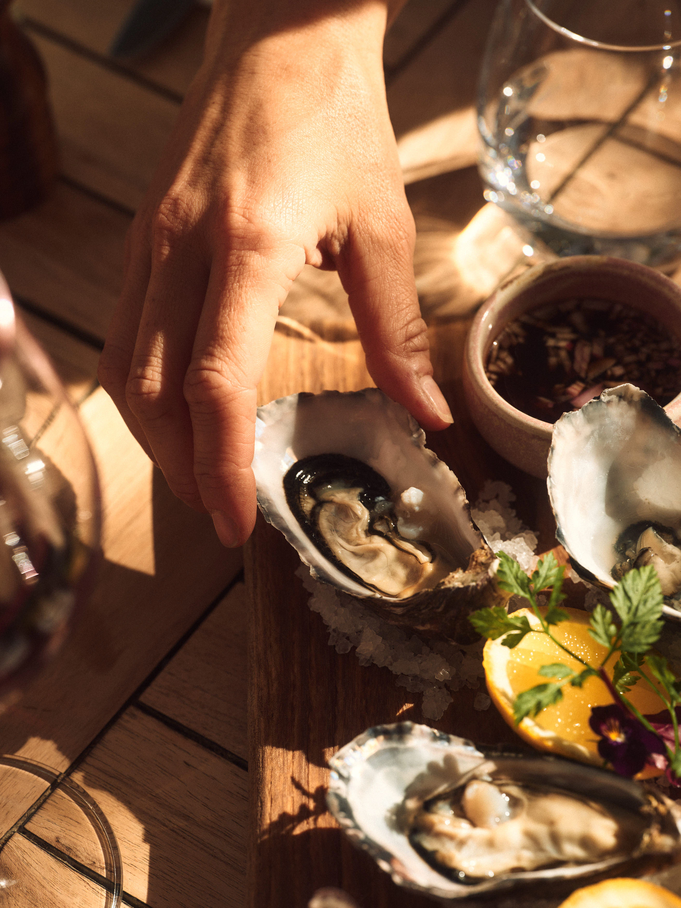 The Collective Force - The Carlin