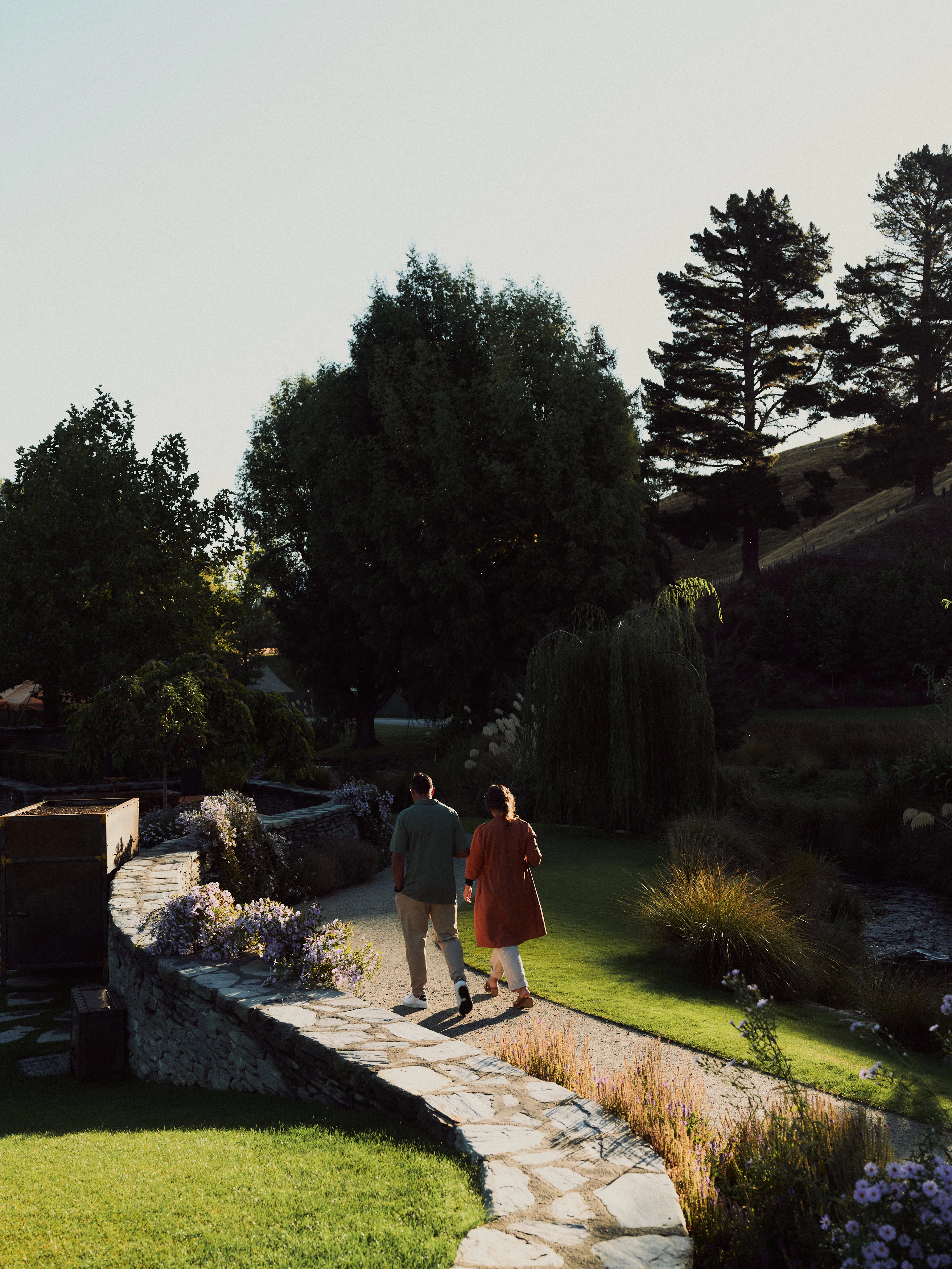 The Collective Force - The Carlin