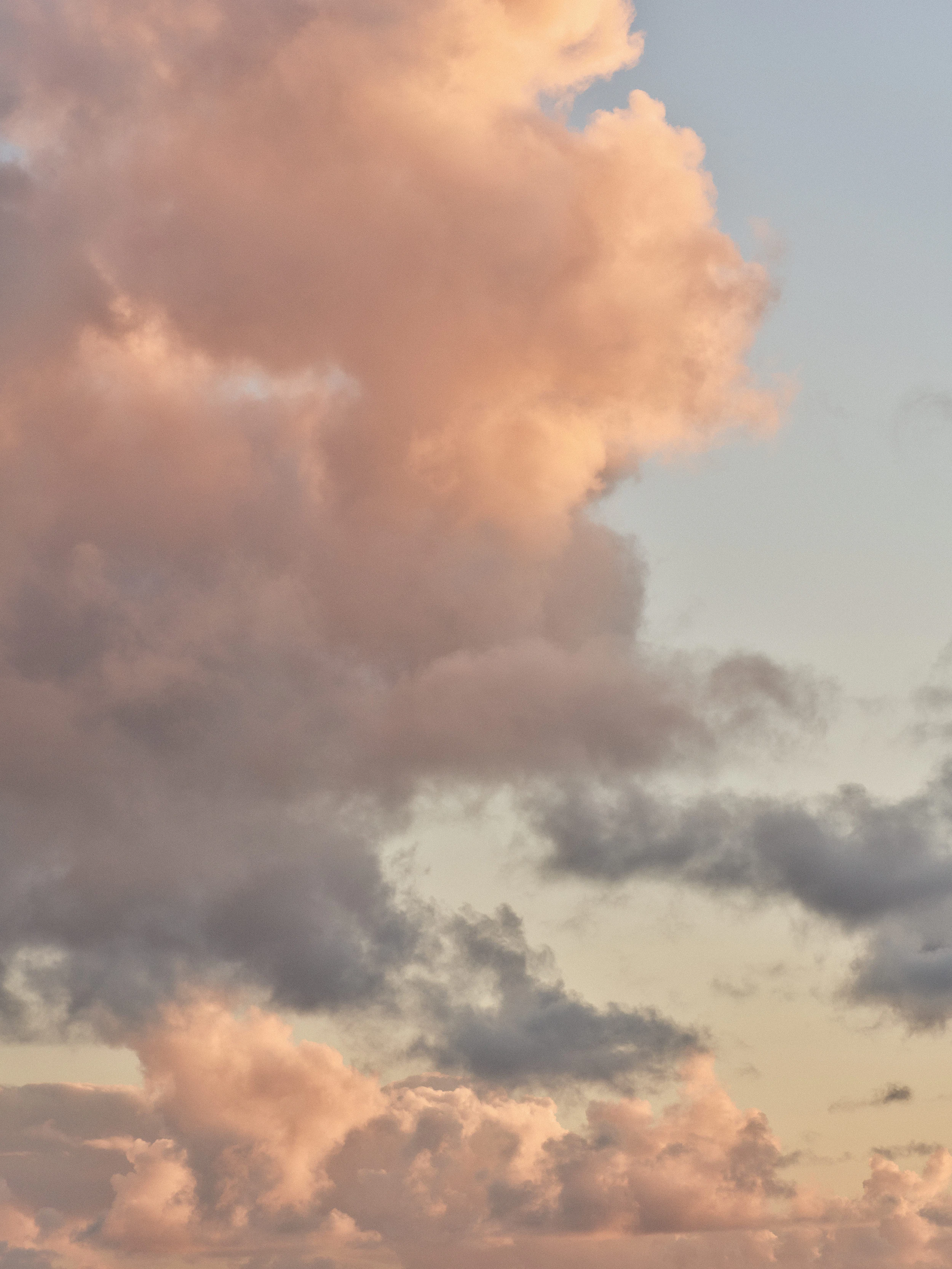 The Collective Force - The Hill