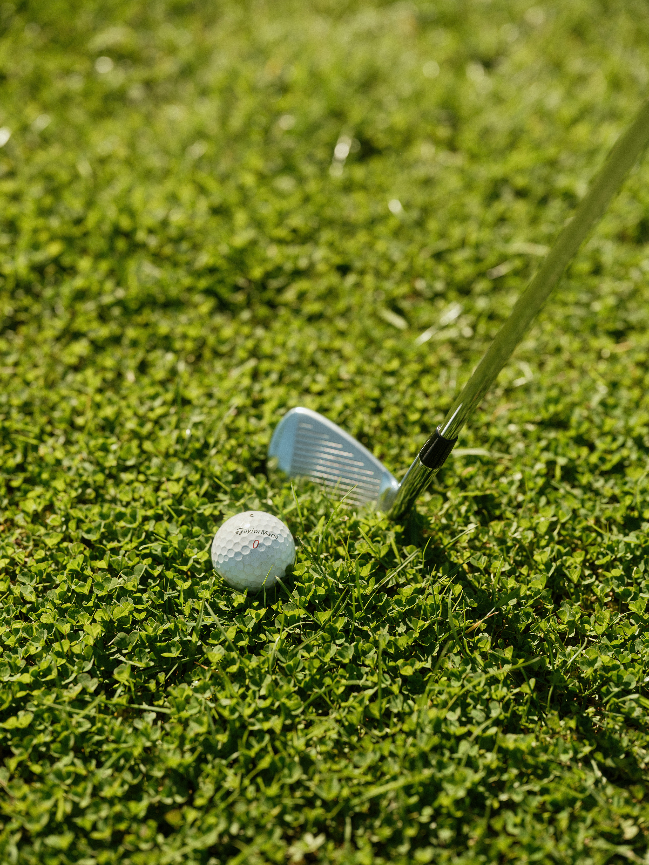 The Collective Force - The Hill