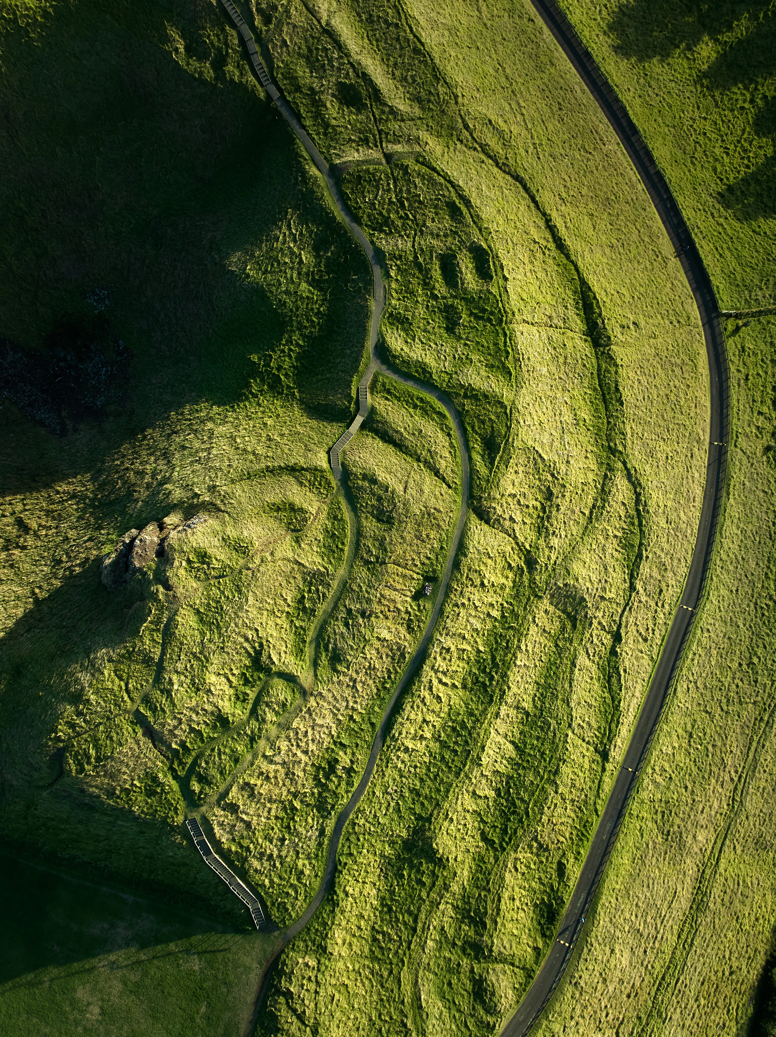 The Collective Force - The Hill