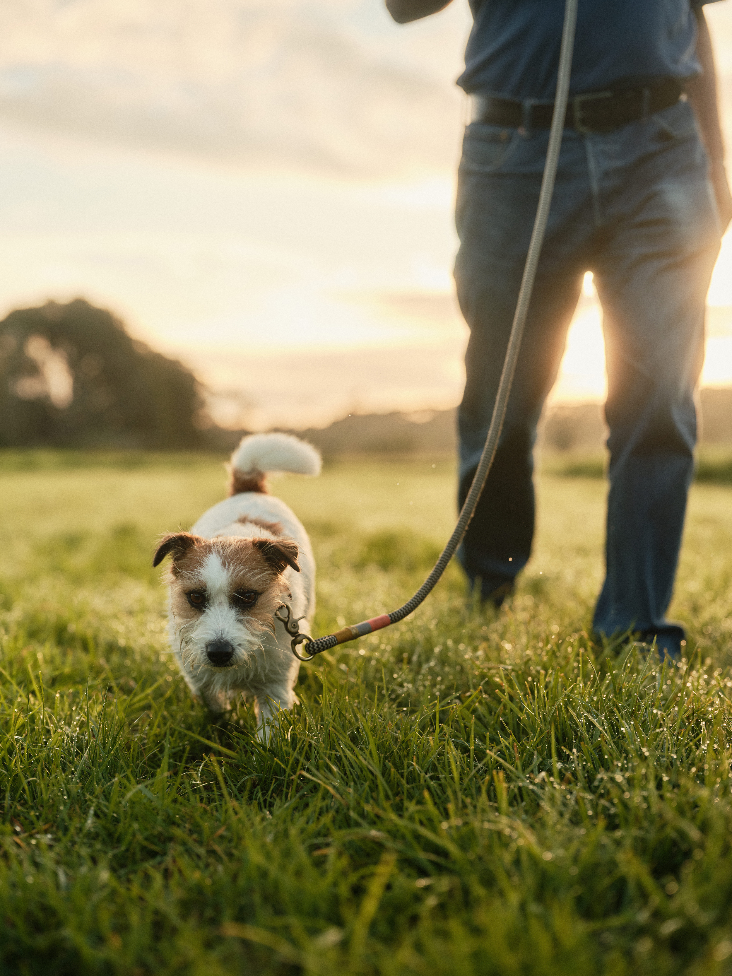 The Collective Force - The Hill