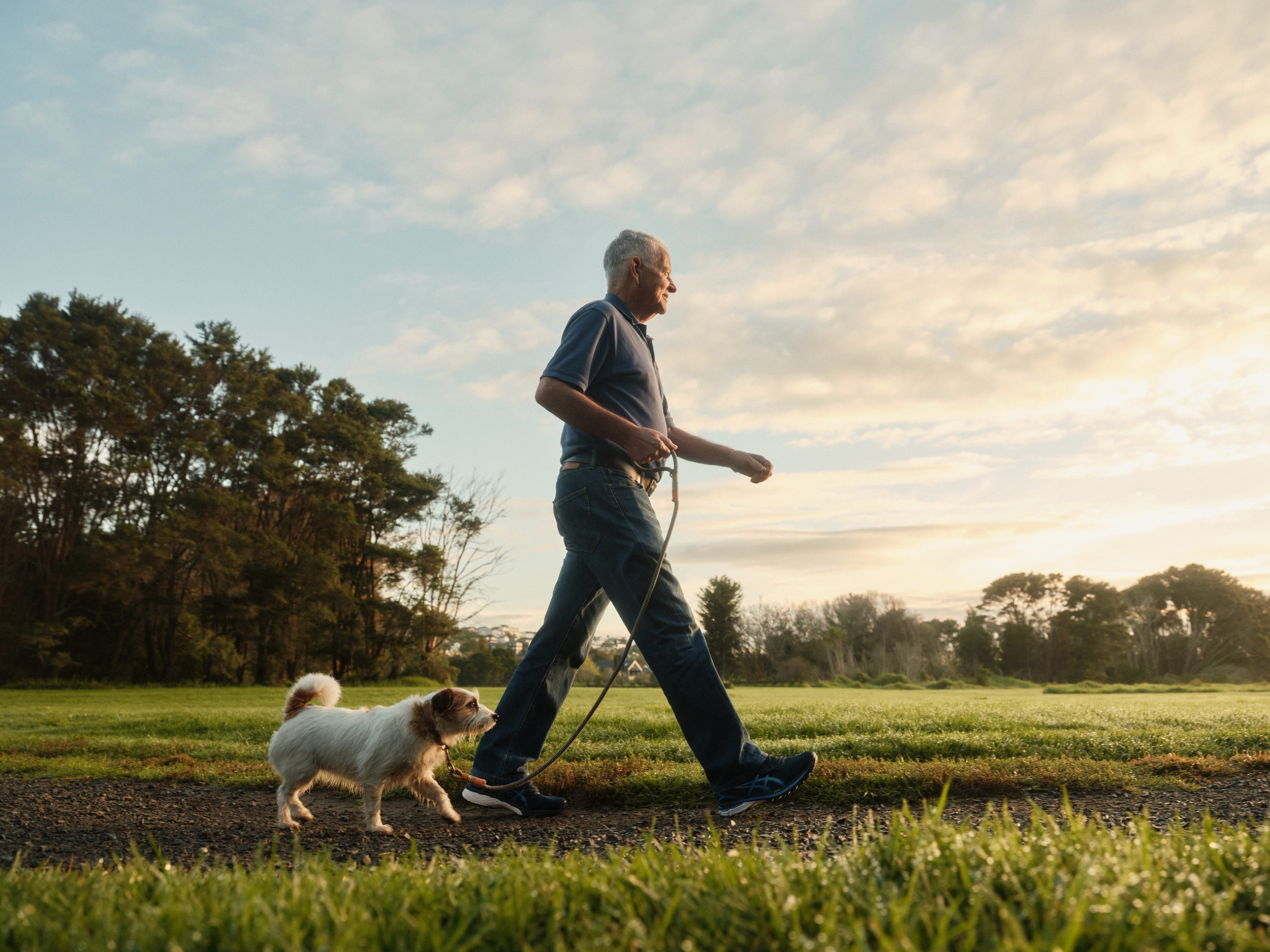 The Collective Force - The Hill