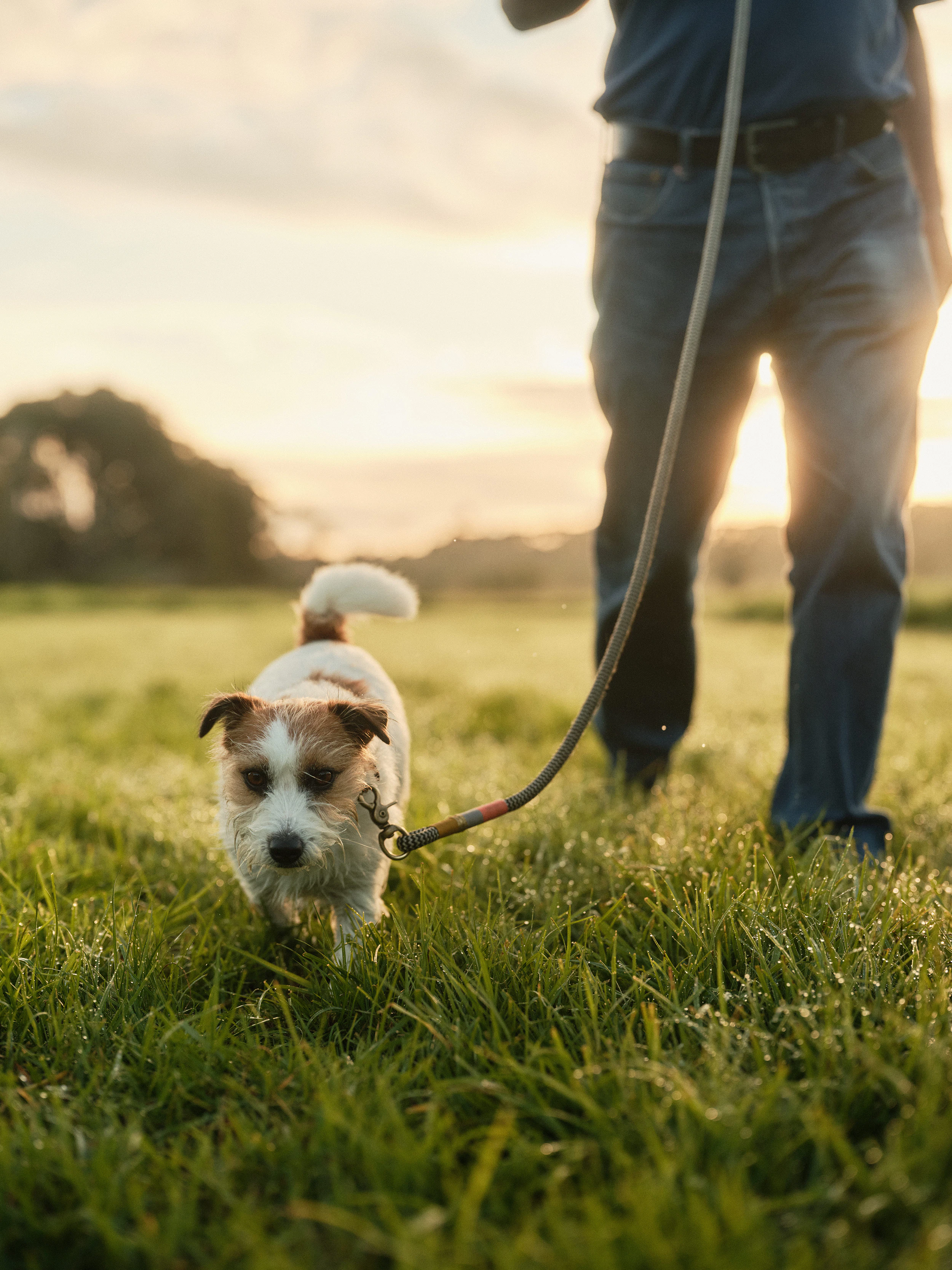 The Collective Force - The Hill