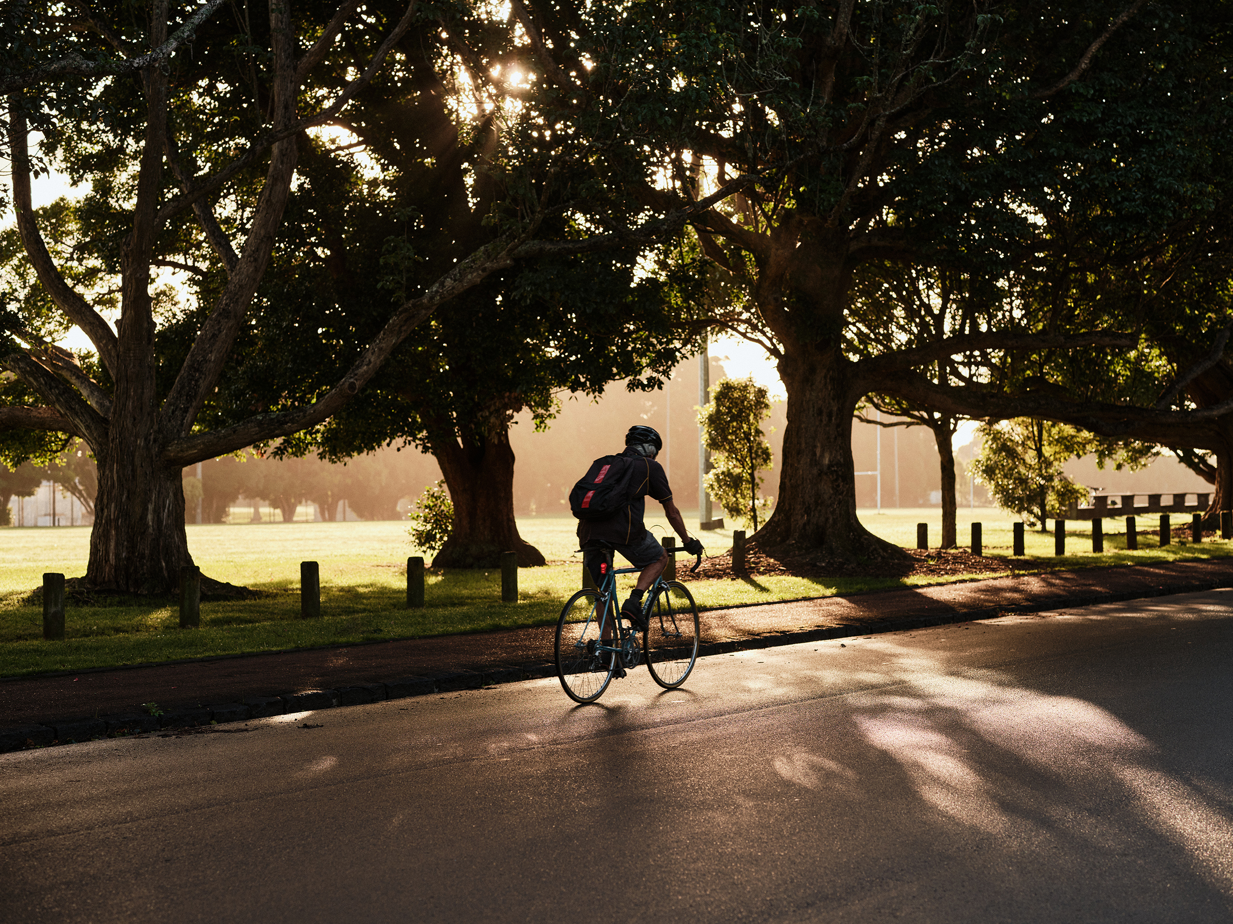 The Collective Force - Latest