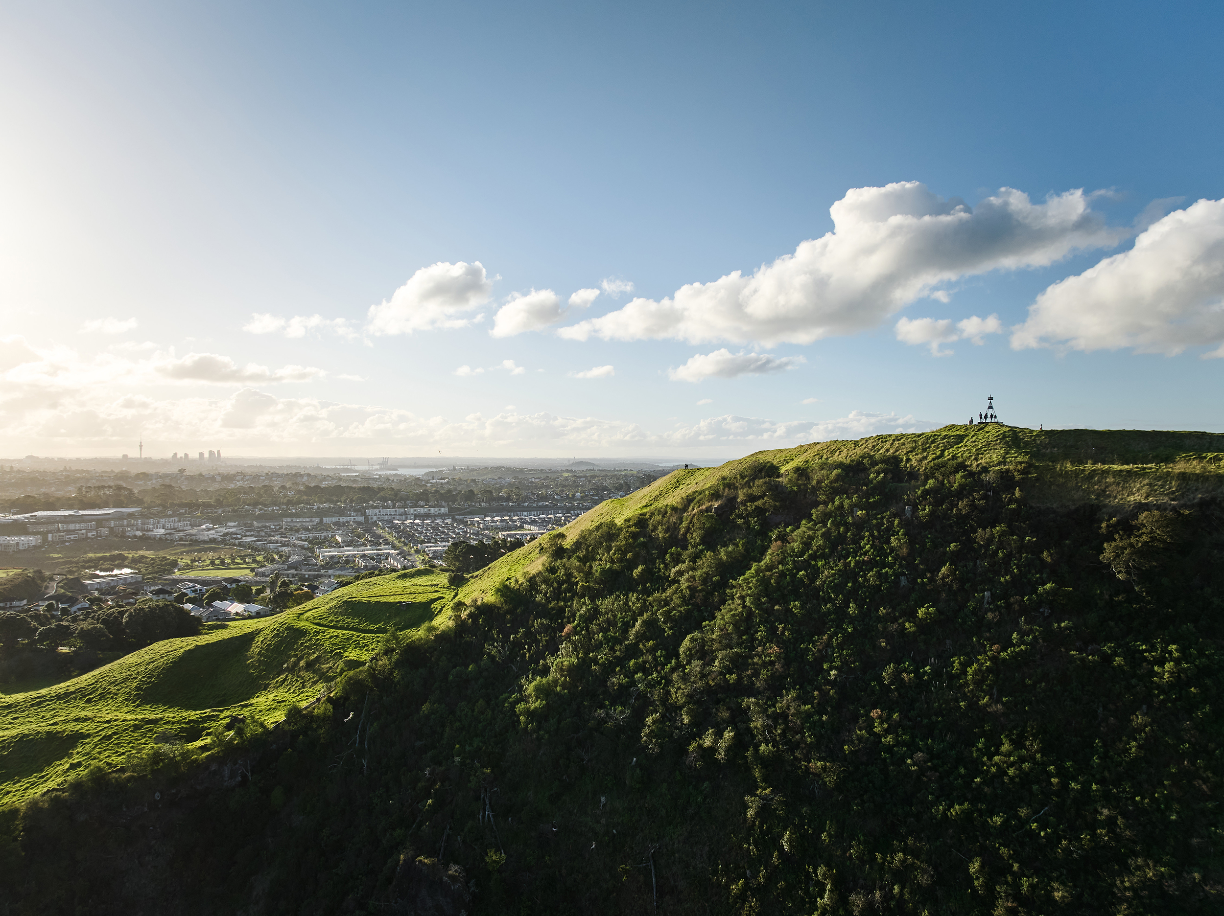 The Collective Force - The Hill