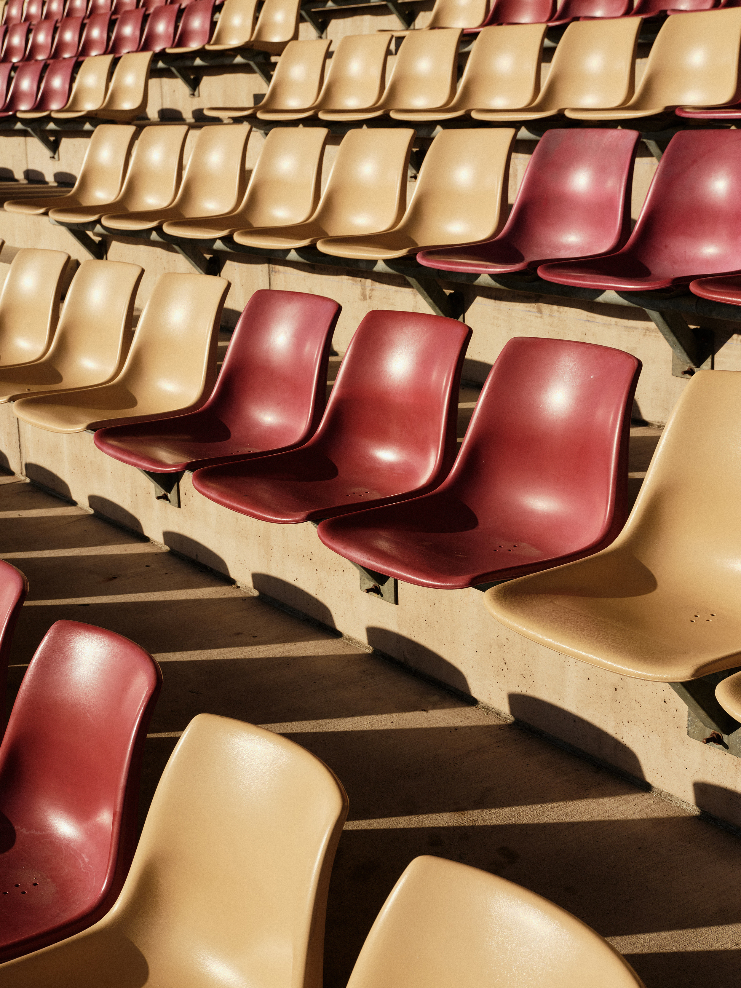 The Collective Force - The Hill