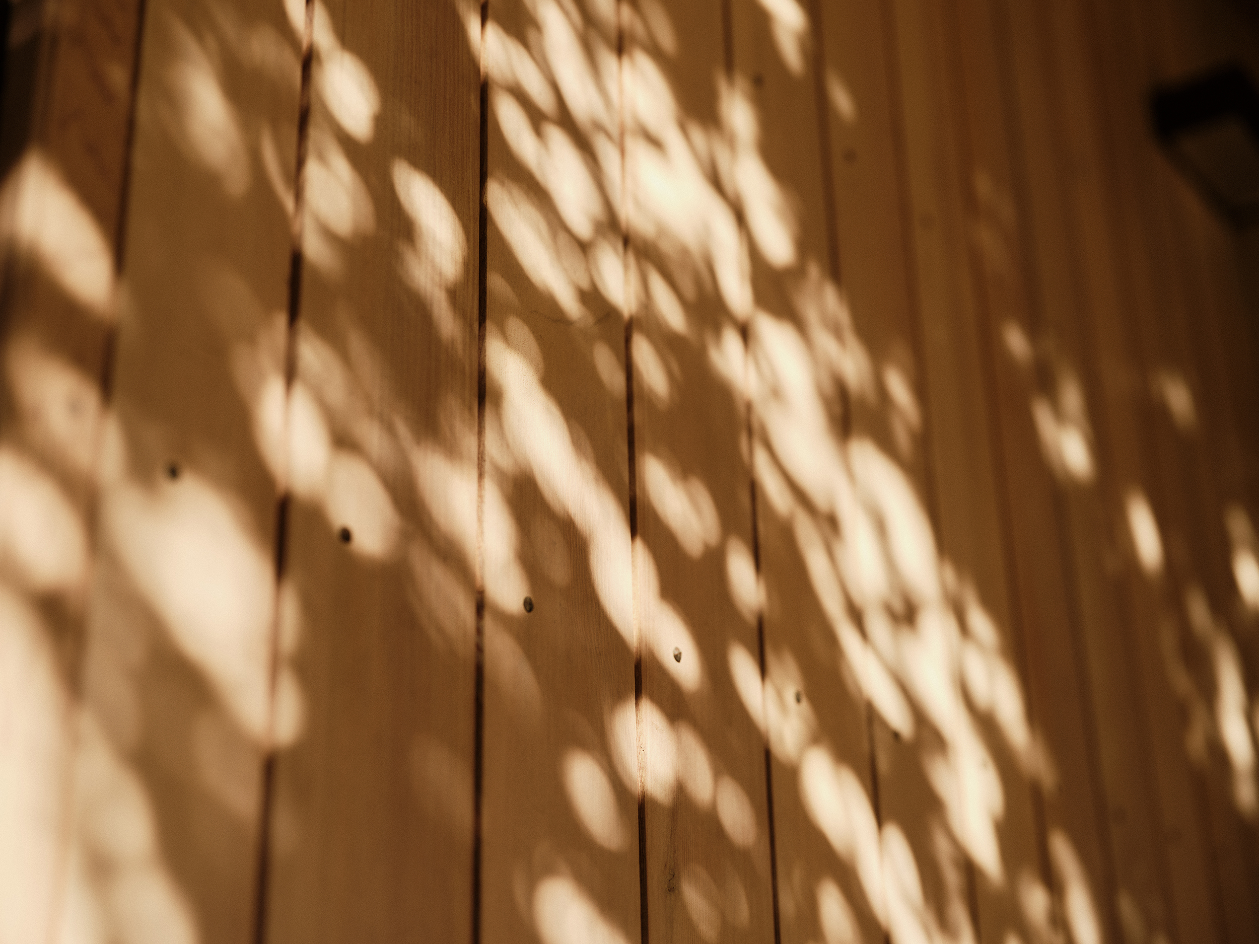 The Collective Force - The Hill