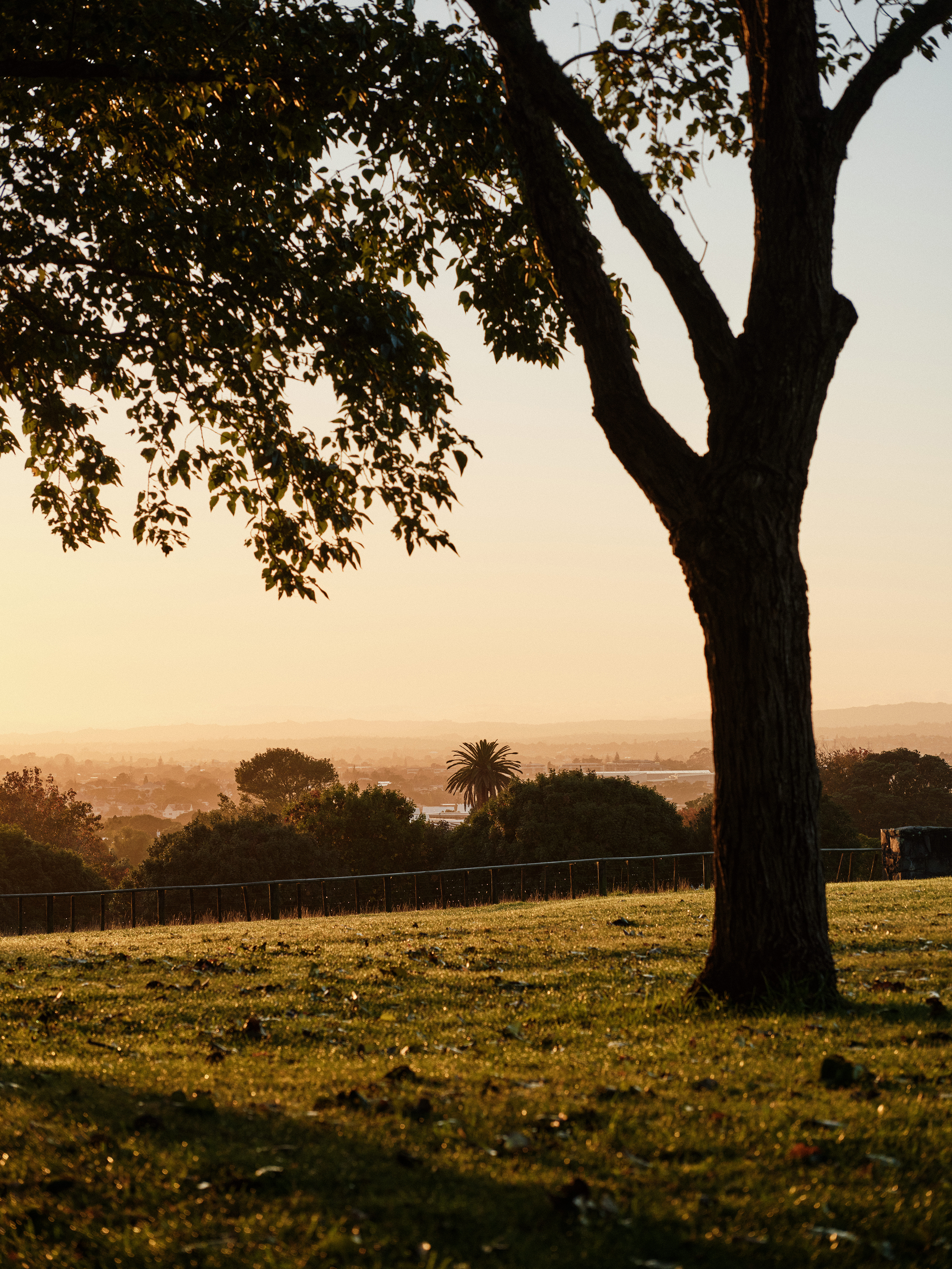 The Collective Force - The Hill