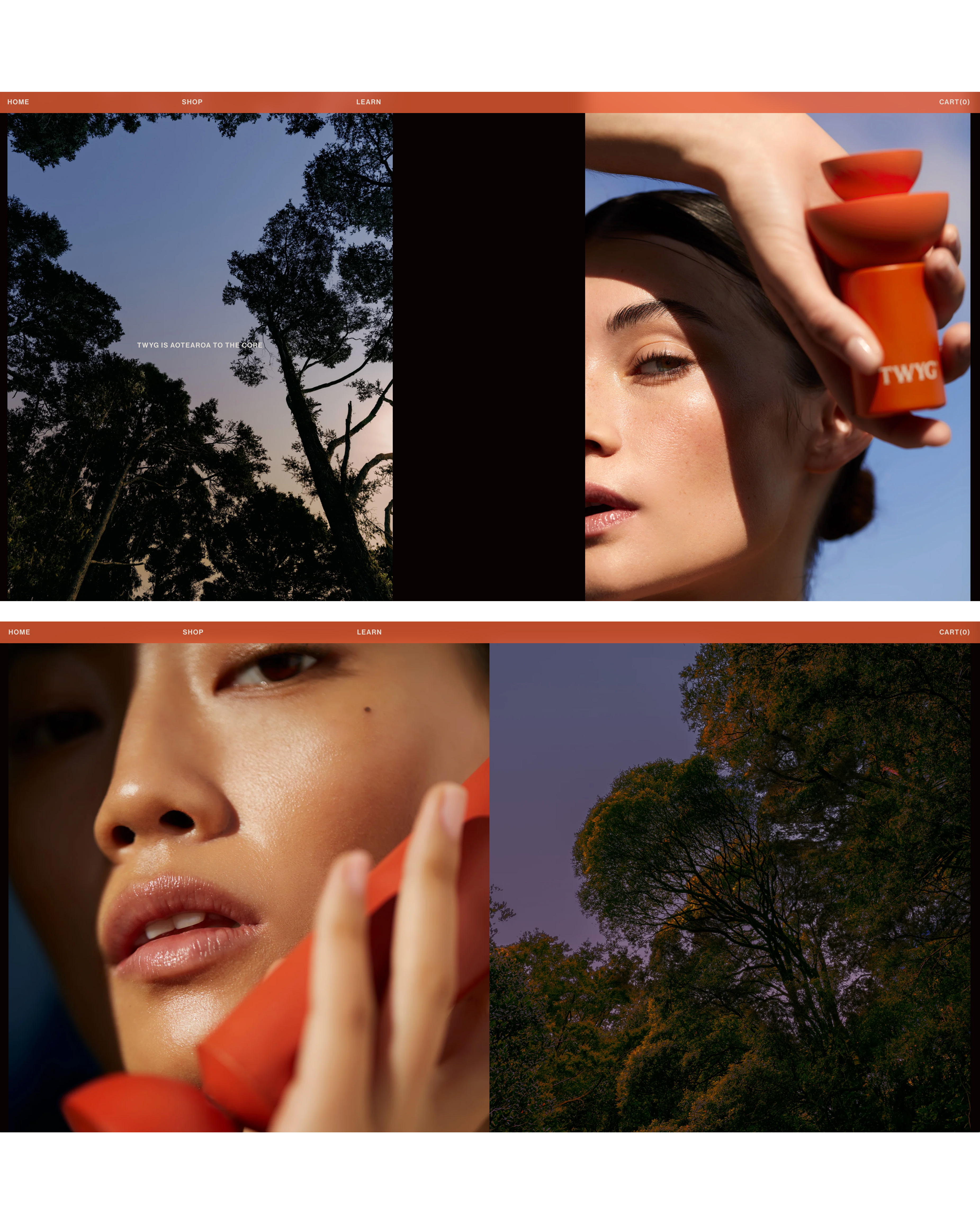 The Collective Force - TWYG