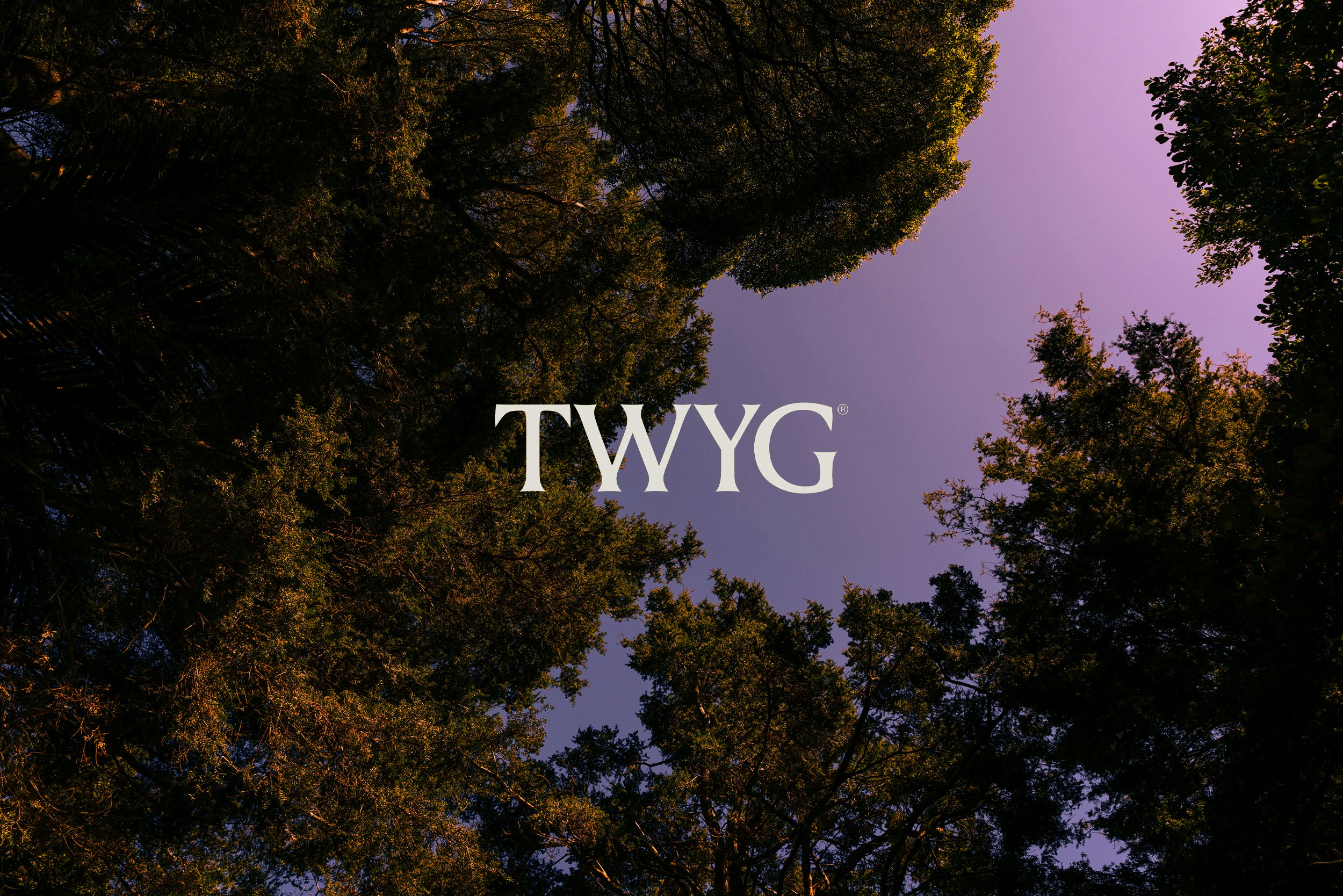 The Collective Force - TWYG