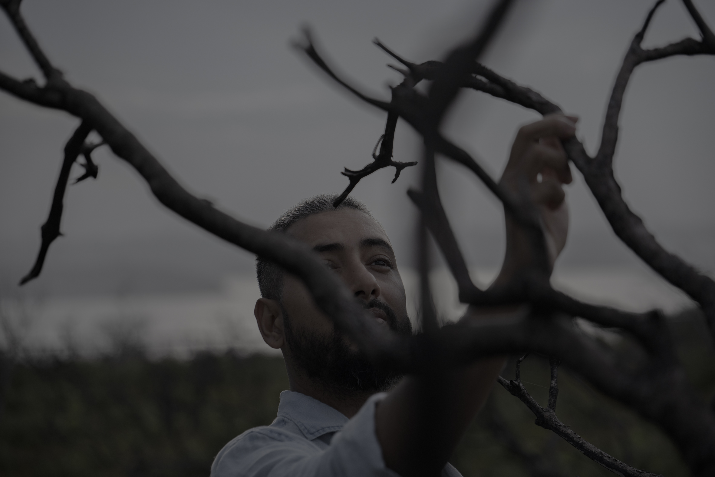 The Collective Force - Udee Dreams of the Mountains