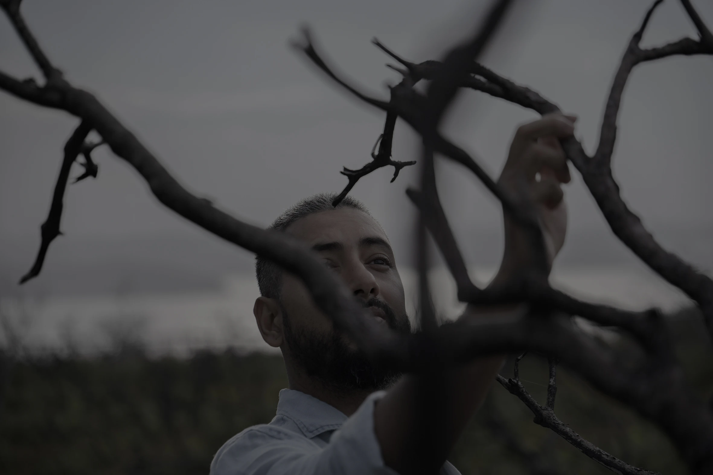 The Collective Force - Udee Dreams of the Mountains