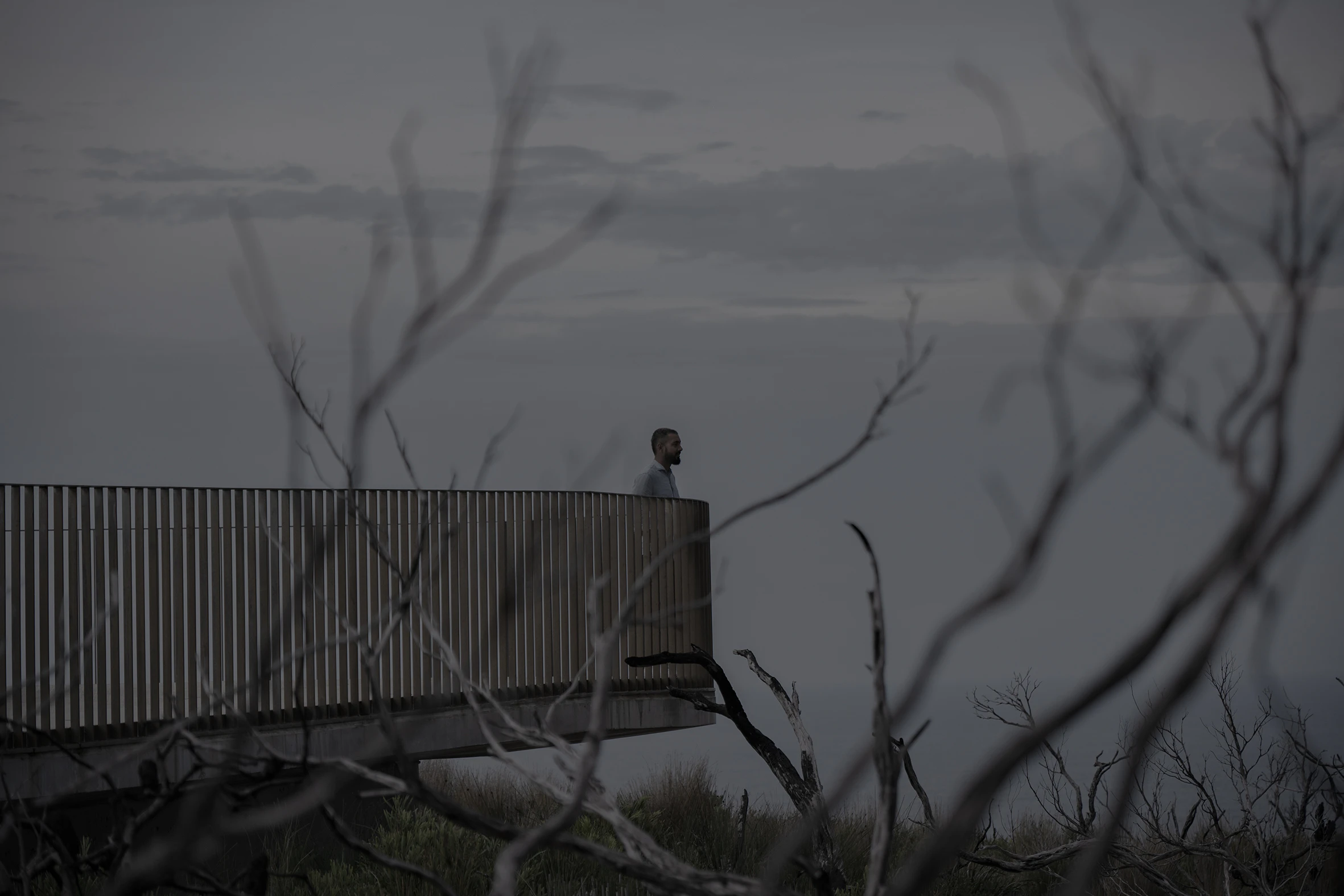 The Collective Force - Udee Dreams of the Mountains