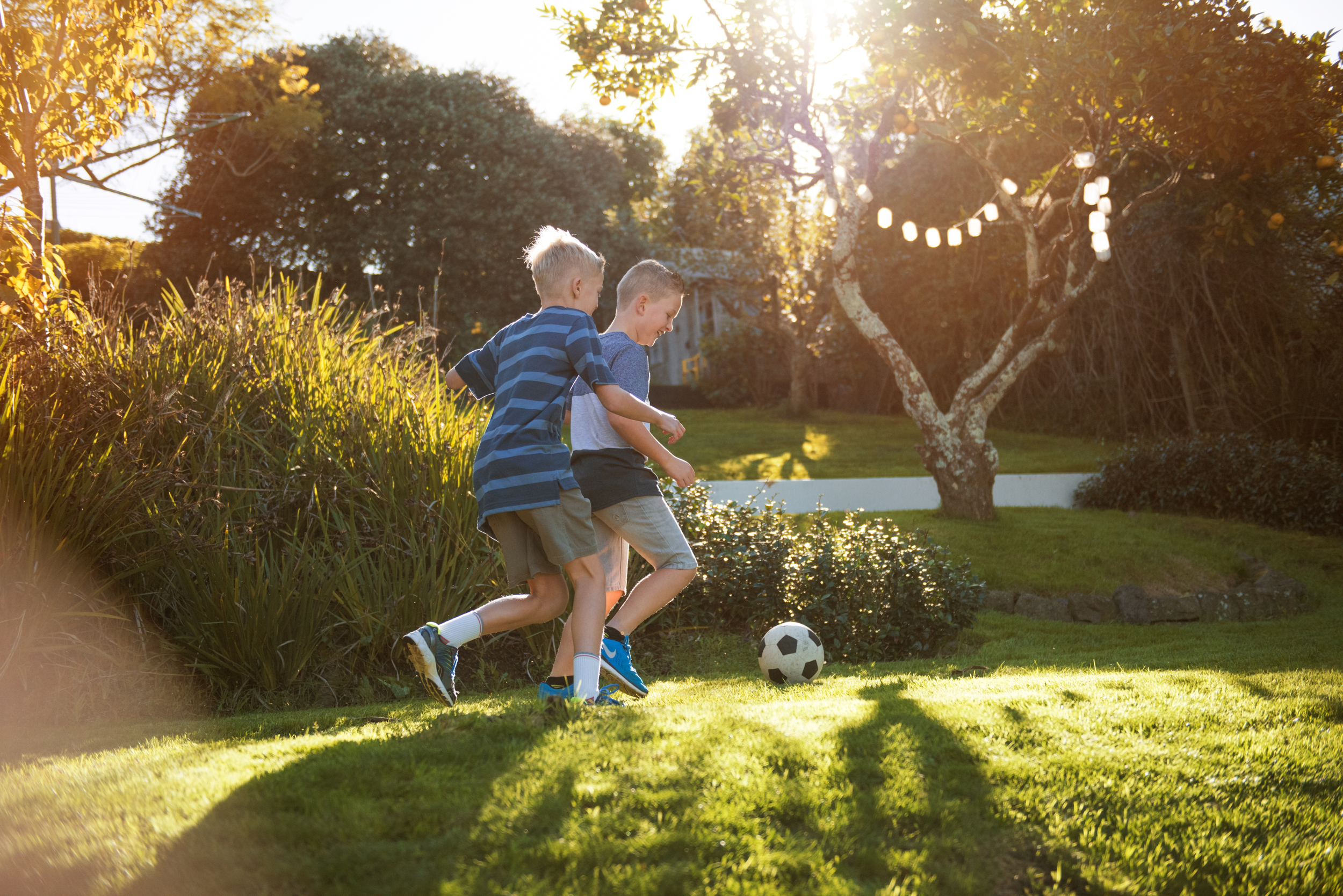 The Collective Force - Vero Insurance