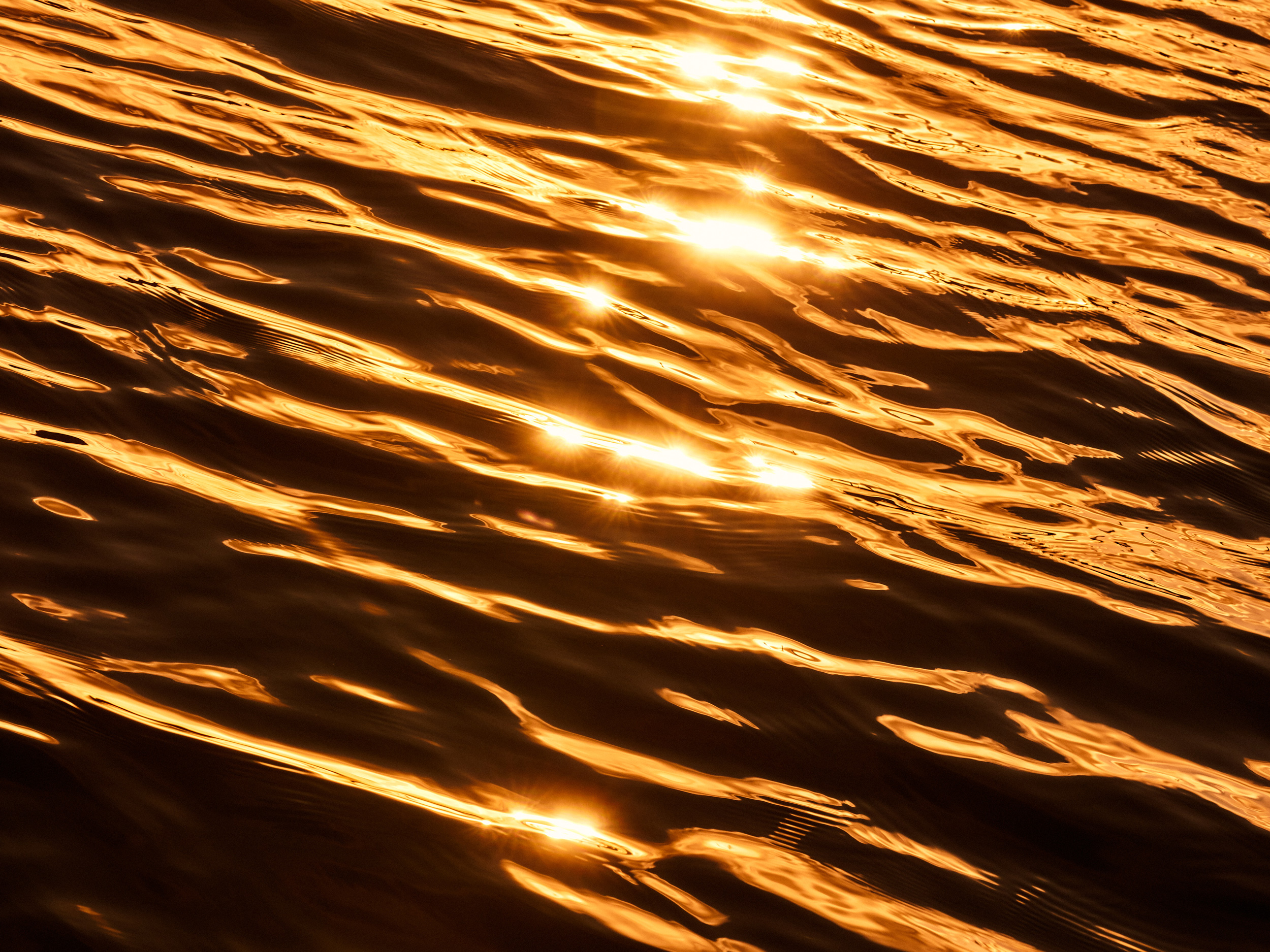 The Collective Force - MCF